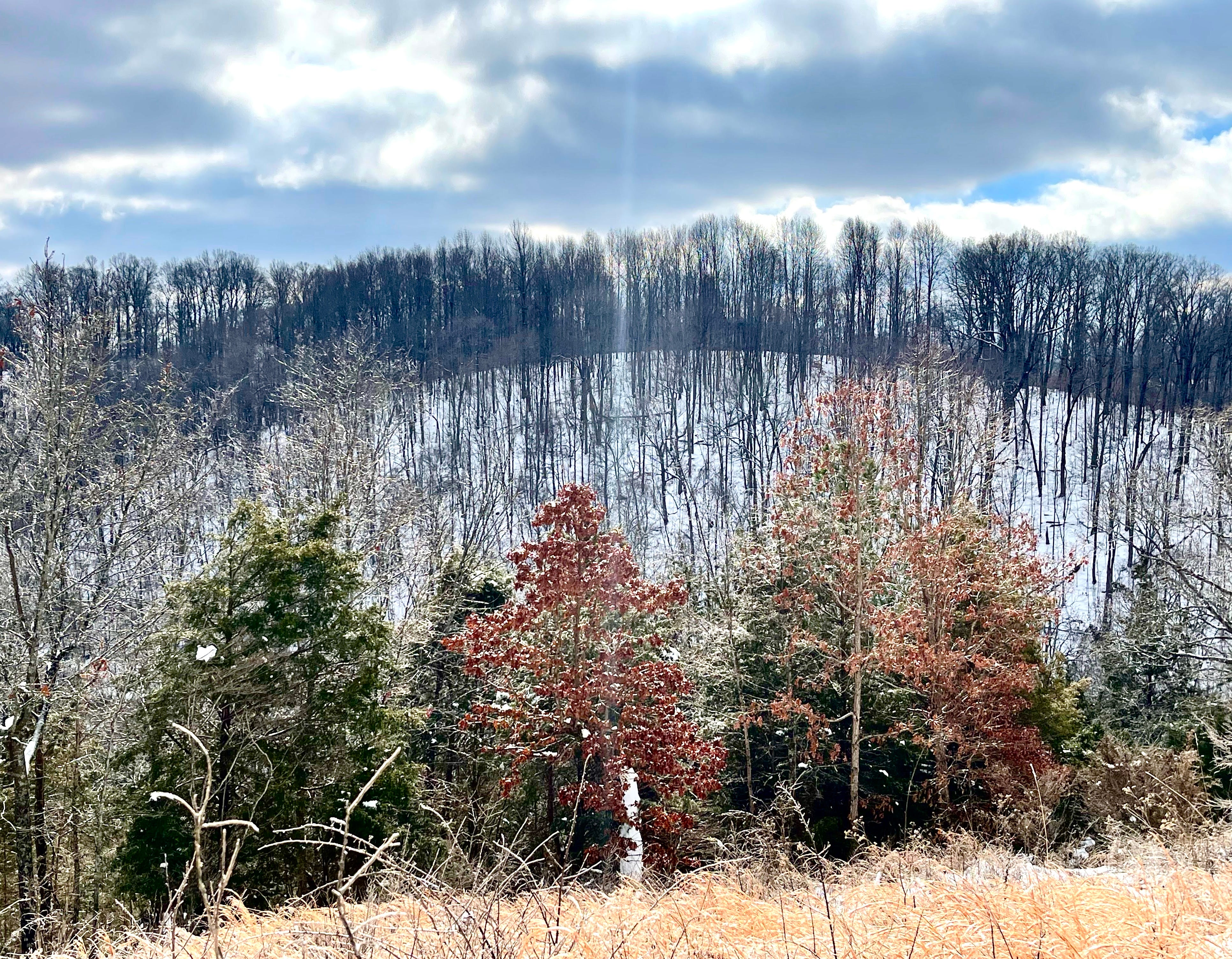 Wu Fei\'s Music Daily