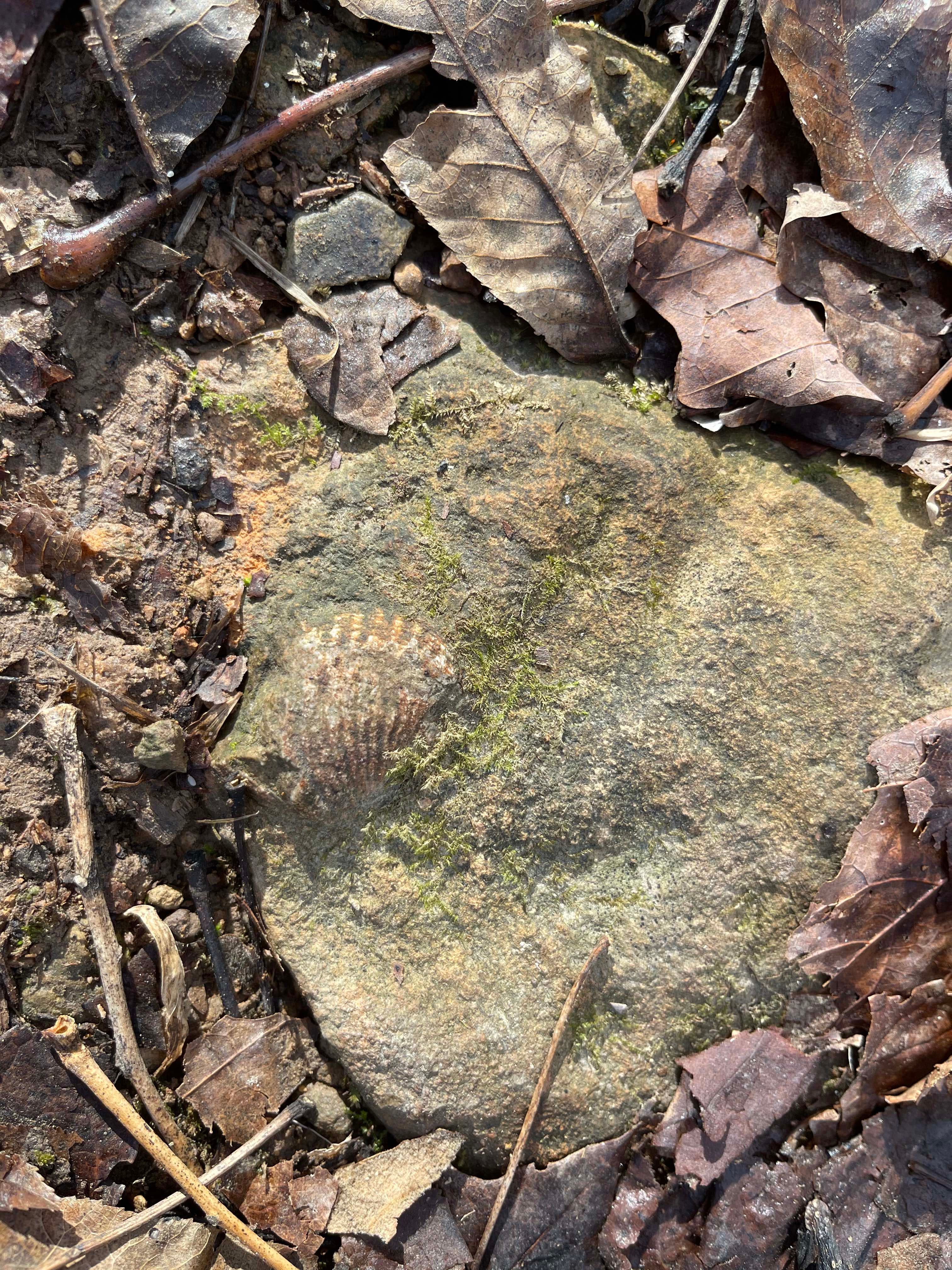 Wu Fei\'s Music Daily