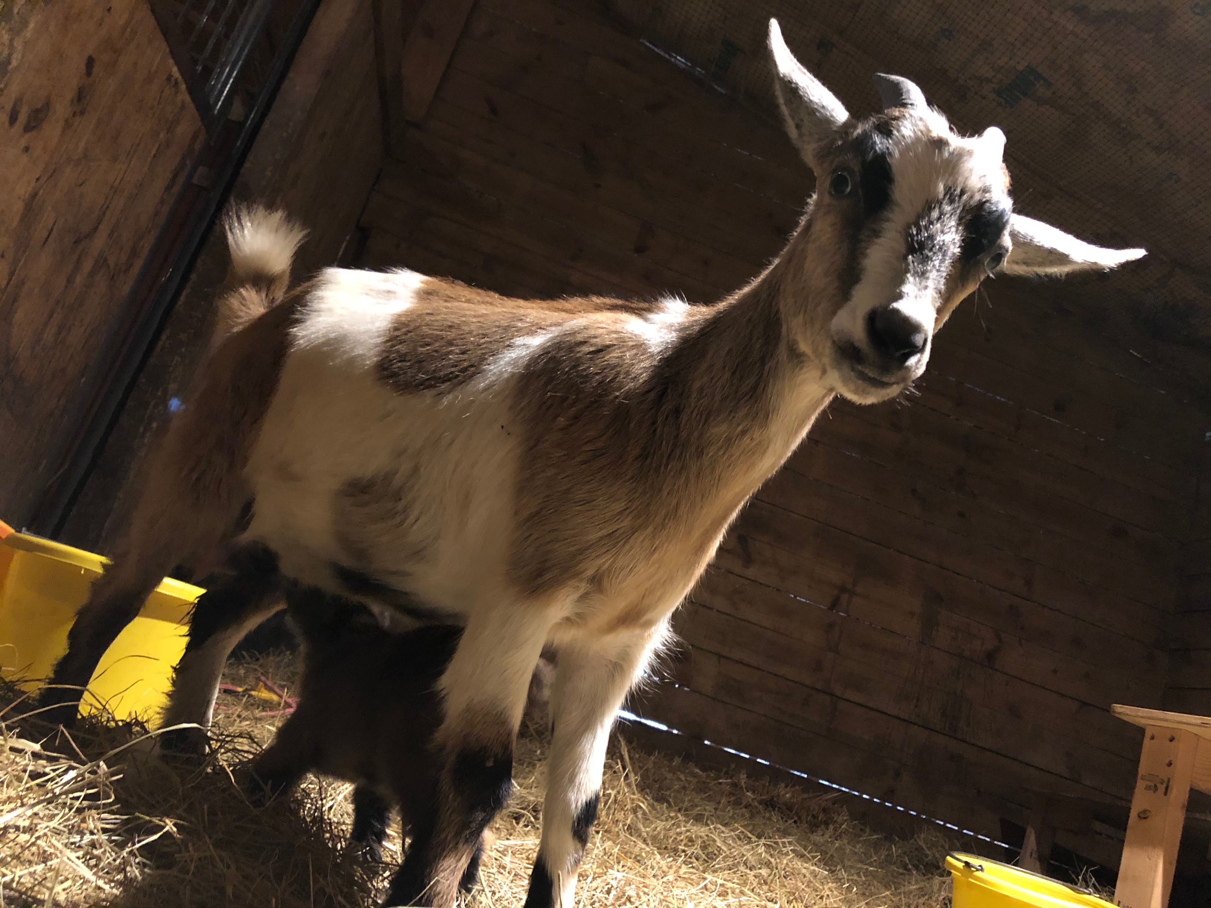 Wu Fei\'s Music Daily