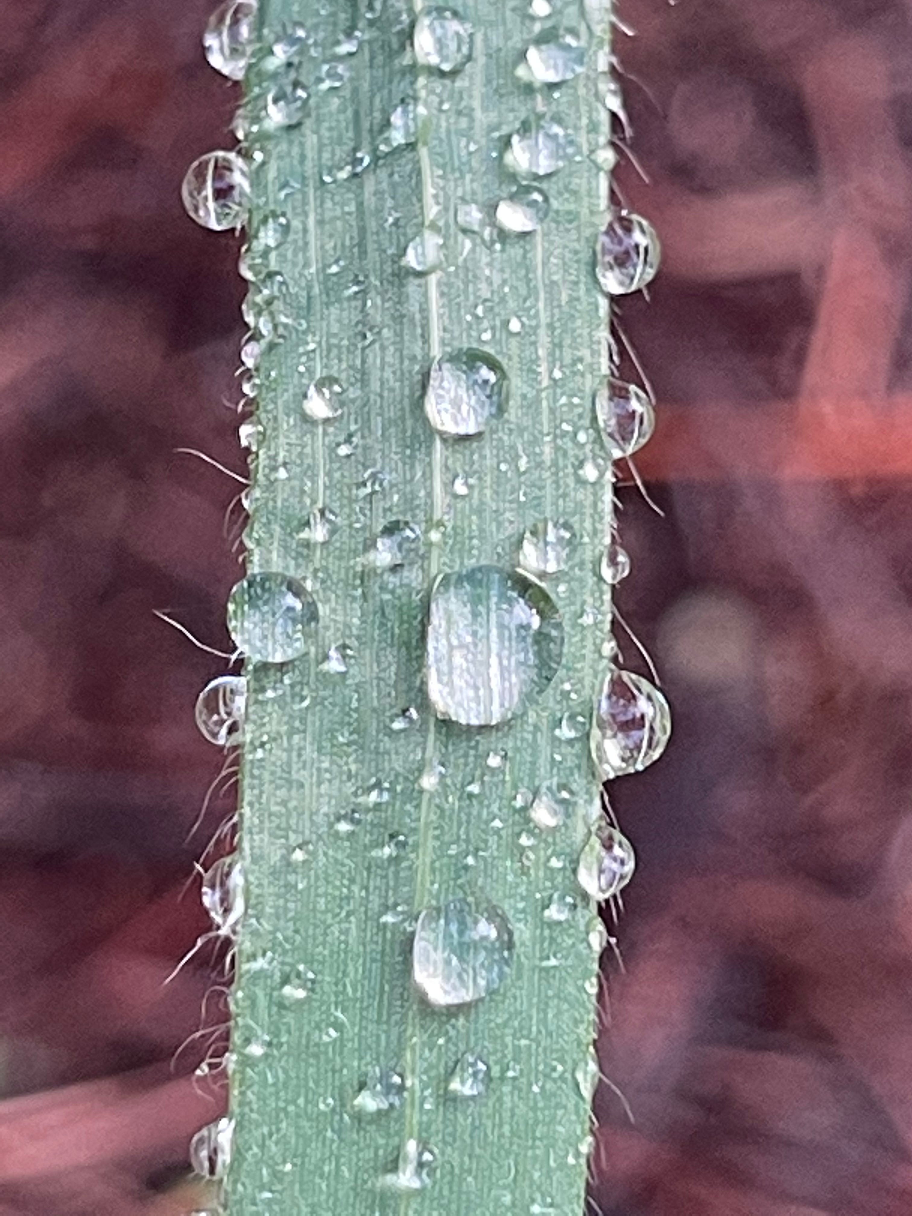 Wu Fei\'s Music Daily