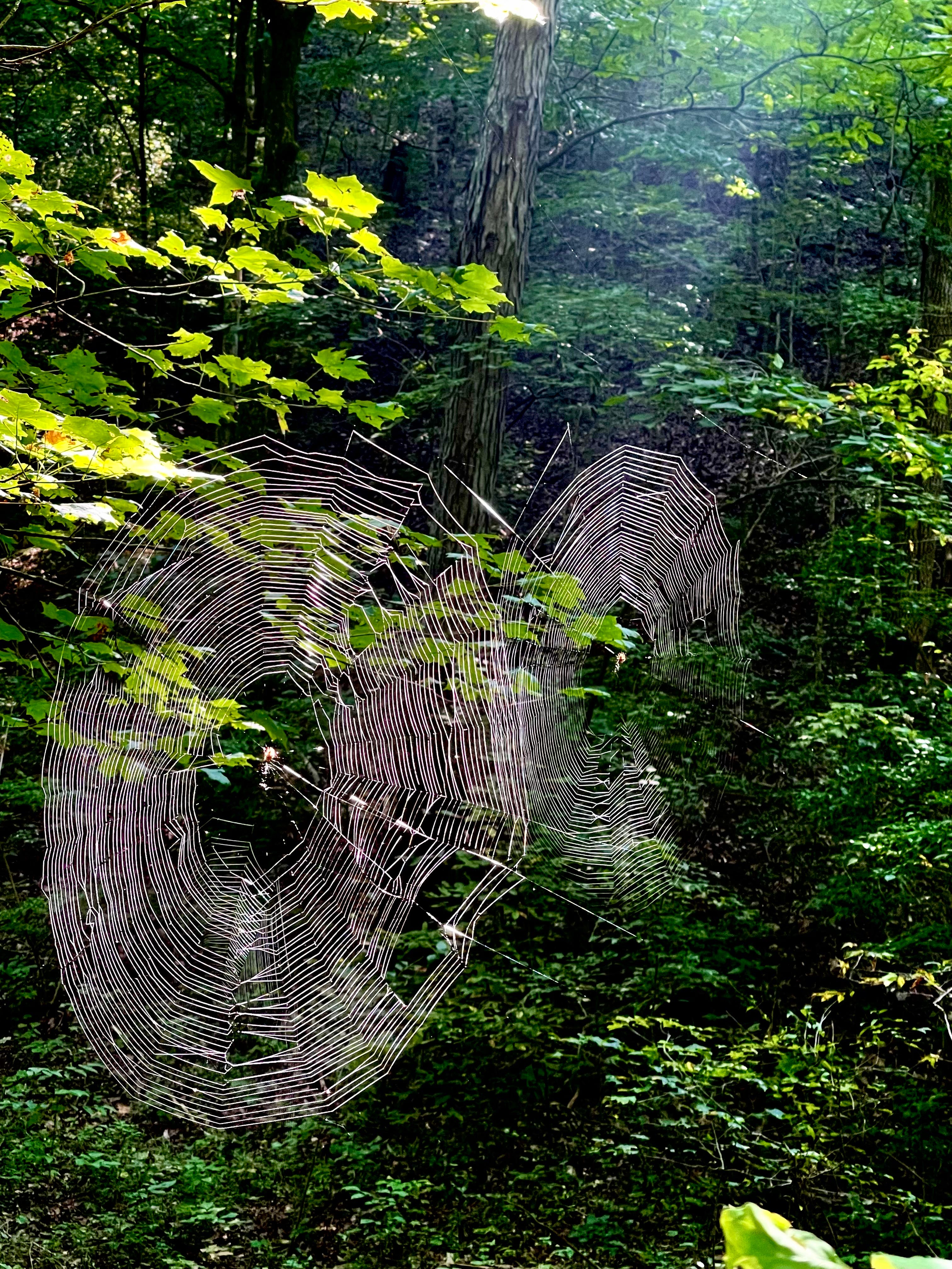 Wu Fei\'s Music Daily