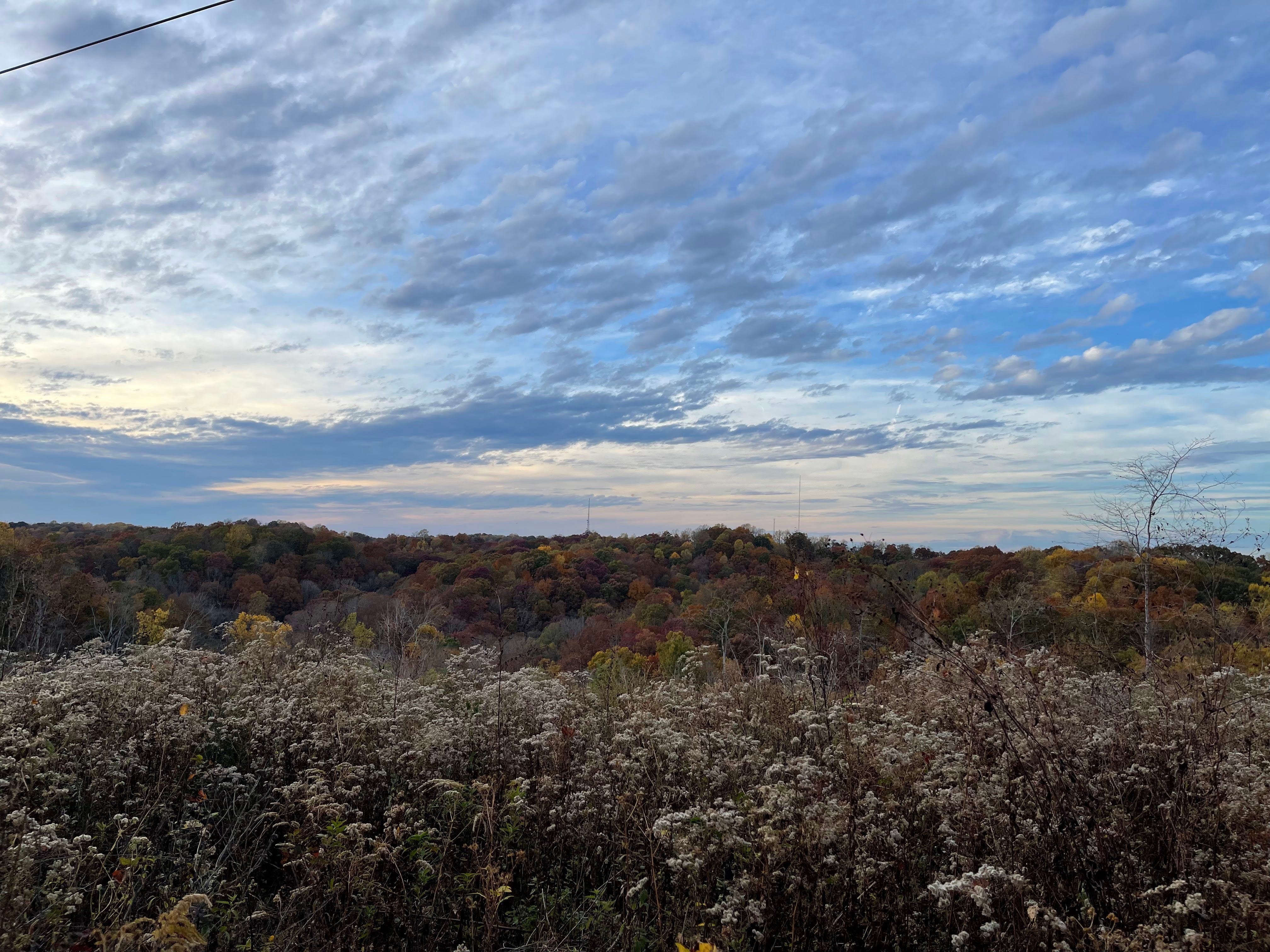 Wu Fei\'s Music Daily