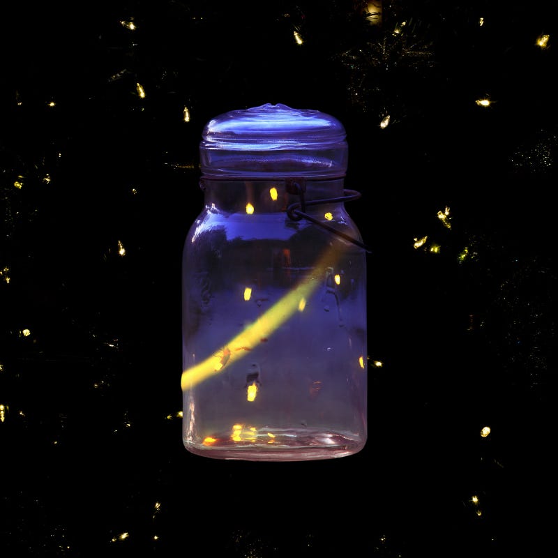Catching Fireflies (a Keith and Rudo podcast)