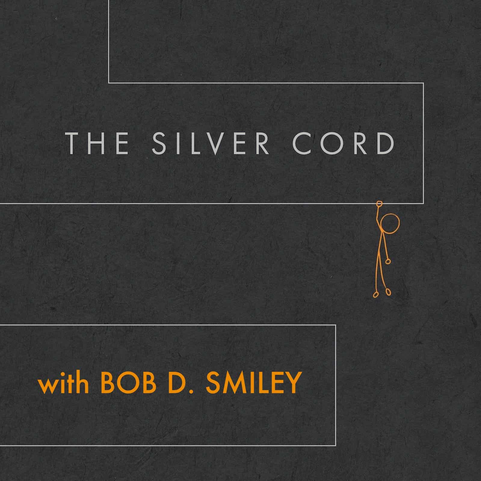 SILVER CORD STORIES