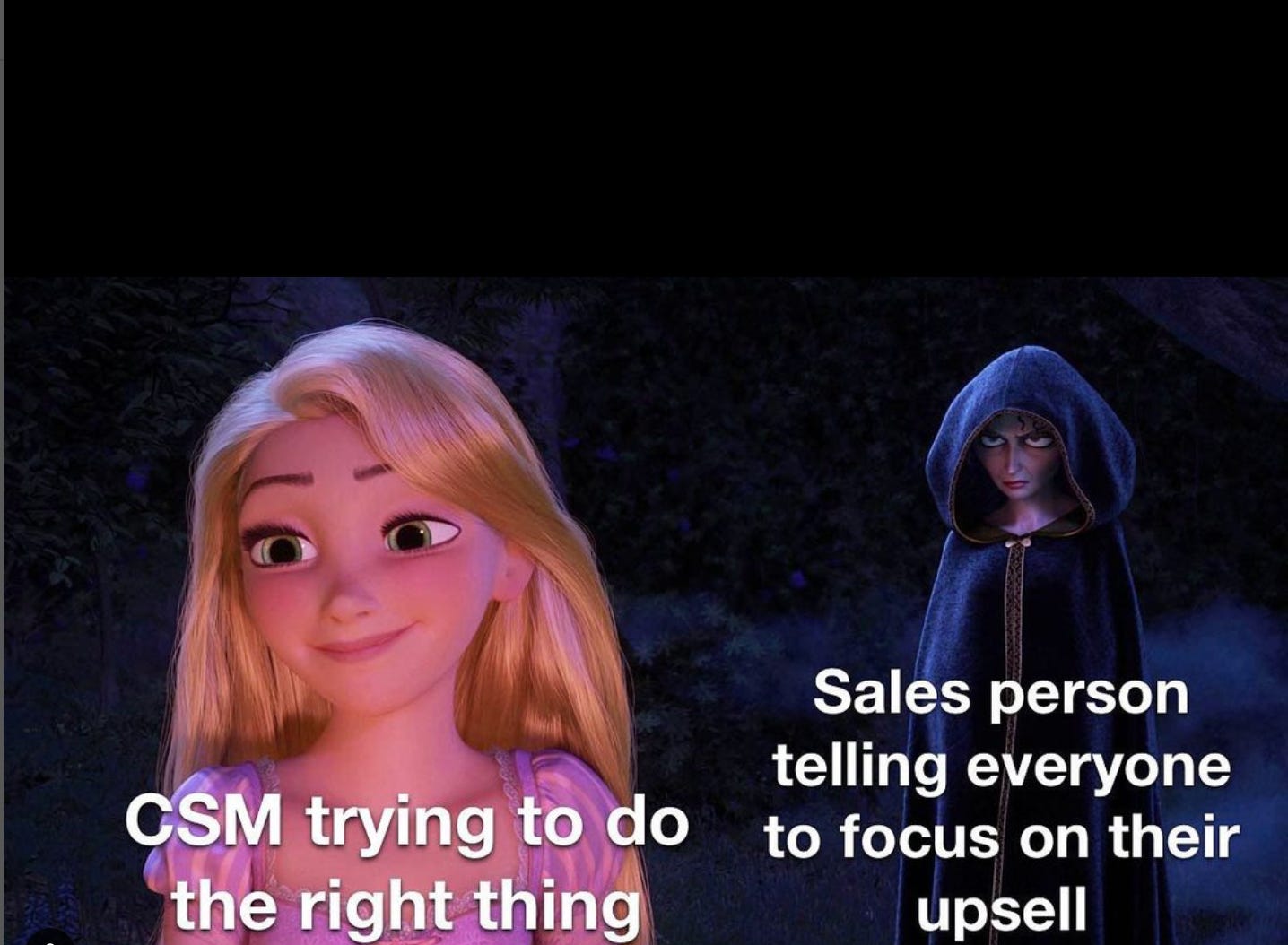 Customer Success & Failures