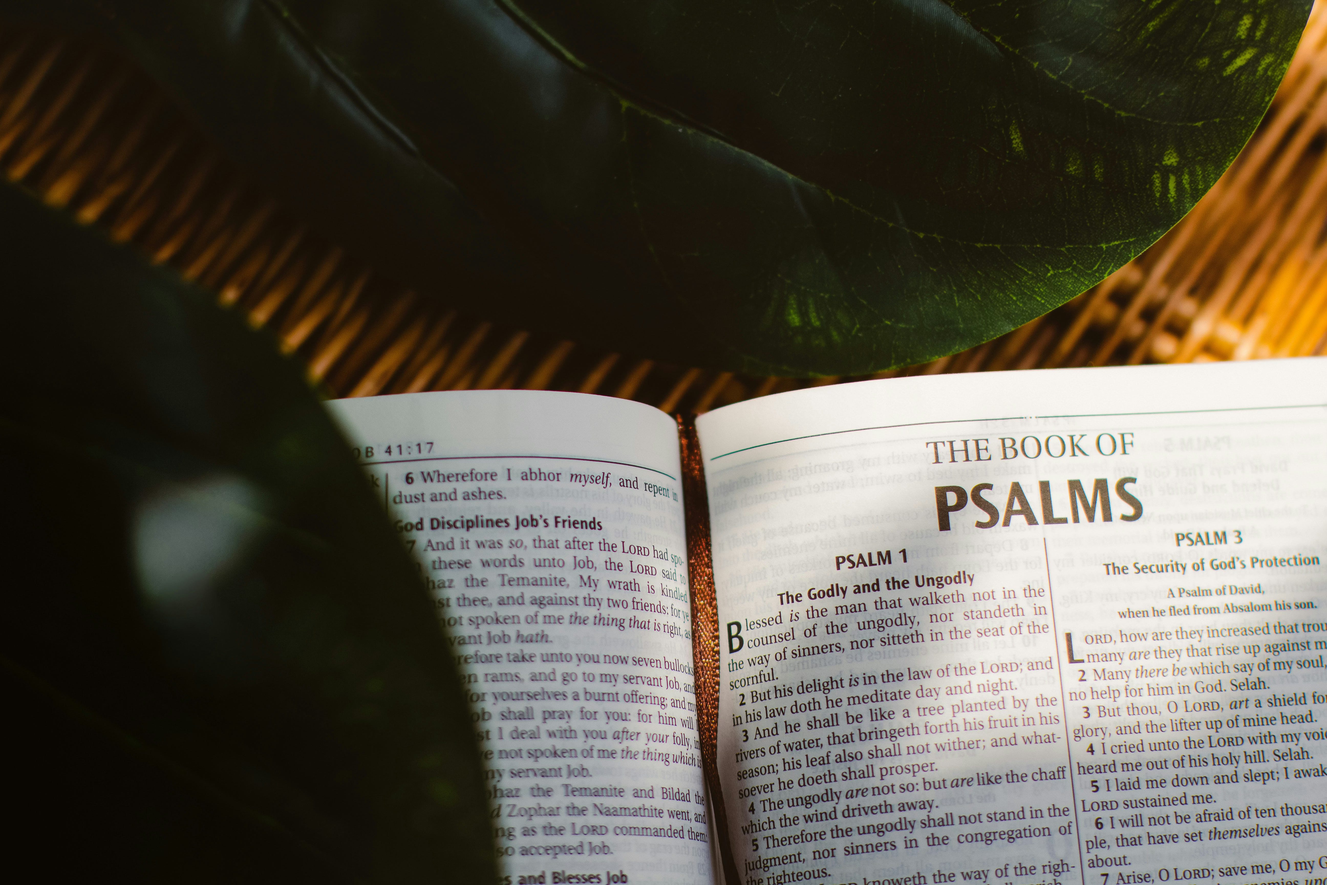 Psalm 10: When Injustice Speaks, But God Still Sees episode artwork