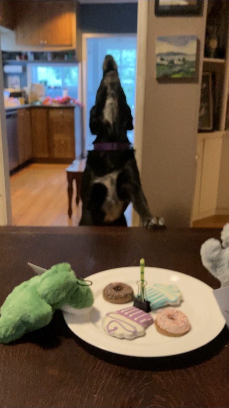 This Week in Animal Protection
