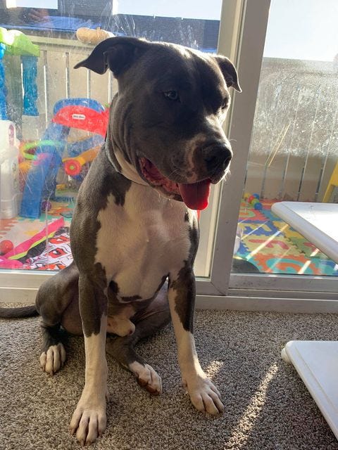 This Week in Animal Protection This Week in Animal Protection