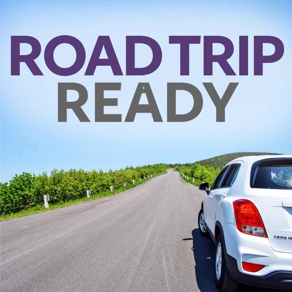 4. Traveling with Pets: How to Successfully Road Trip with Dogs and Cats with Britt Kascjak