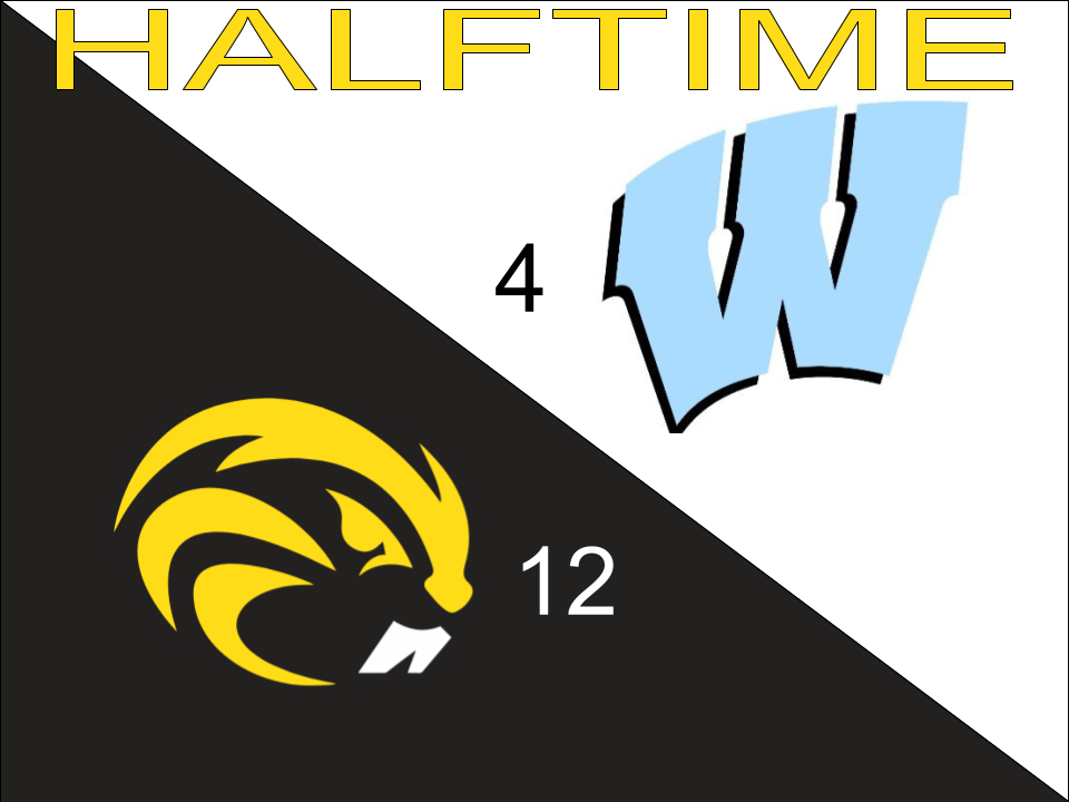 The Beaver Dam Network