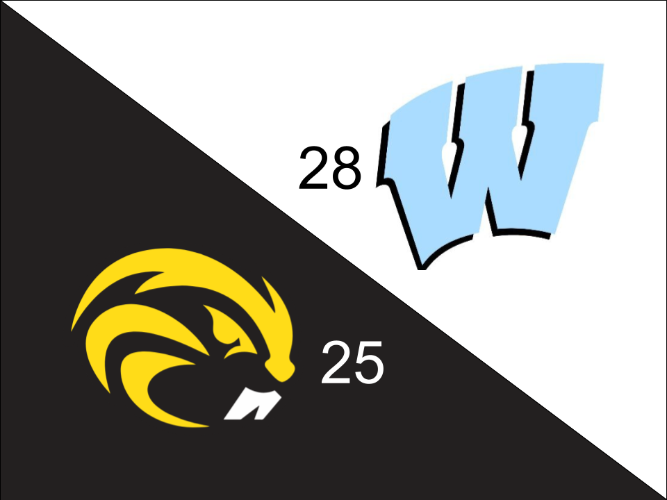 The Beaver Dam Network