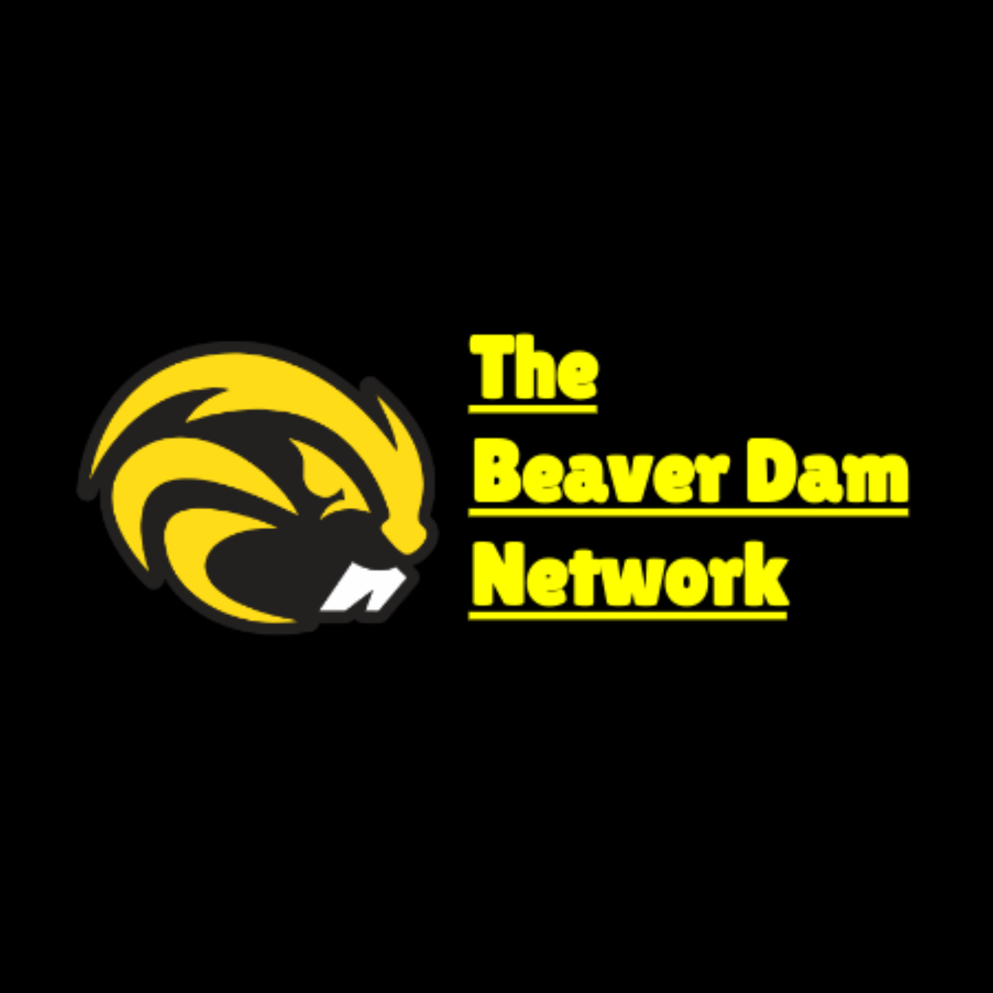 The Beaver Dam Network