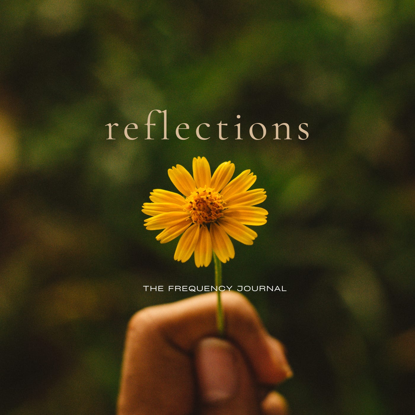 Reflections episode artwork