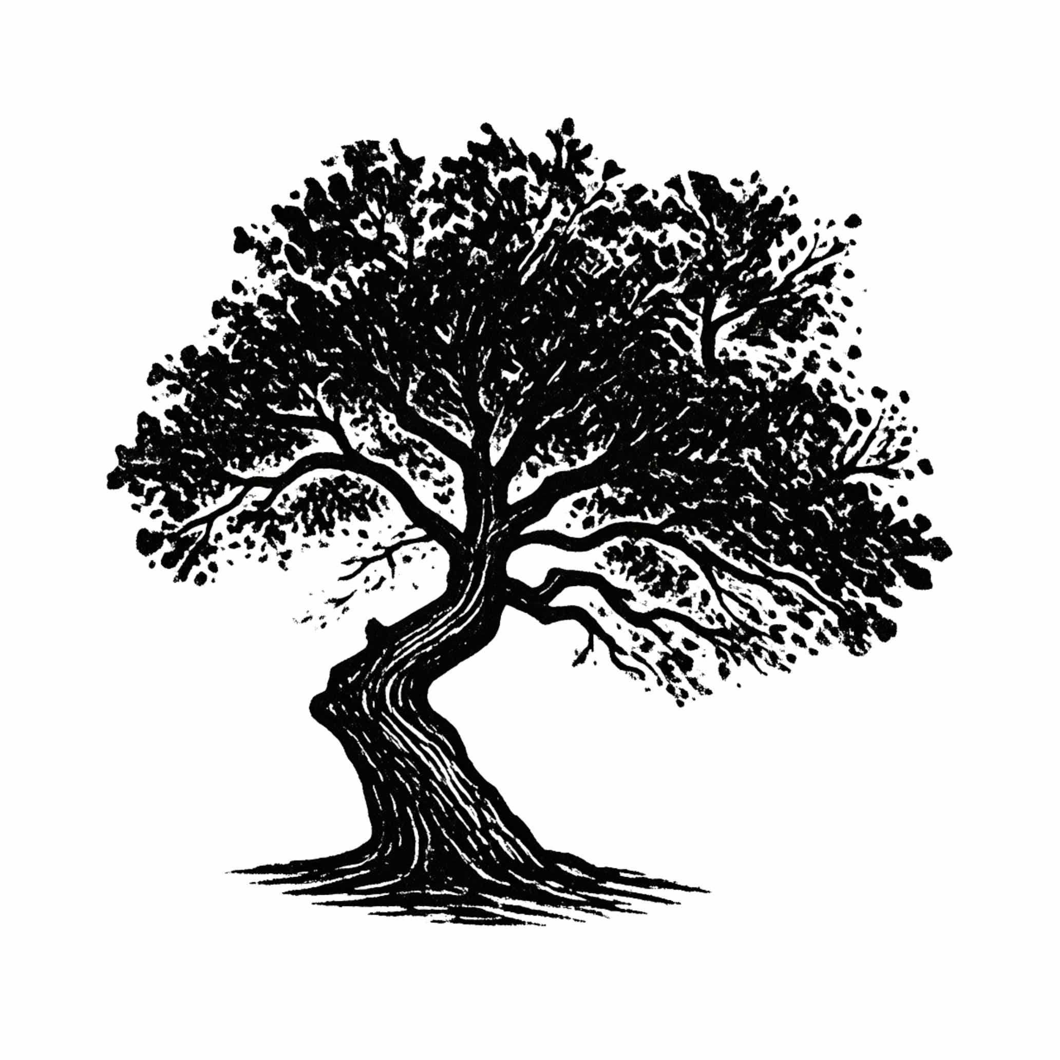 Crooked Tree Radio