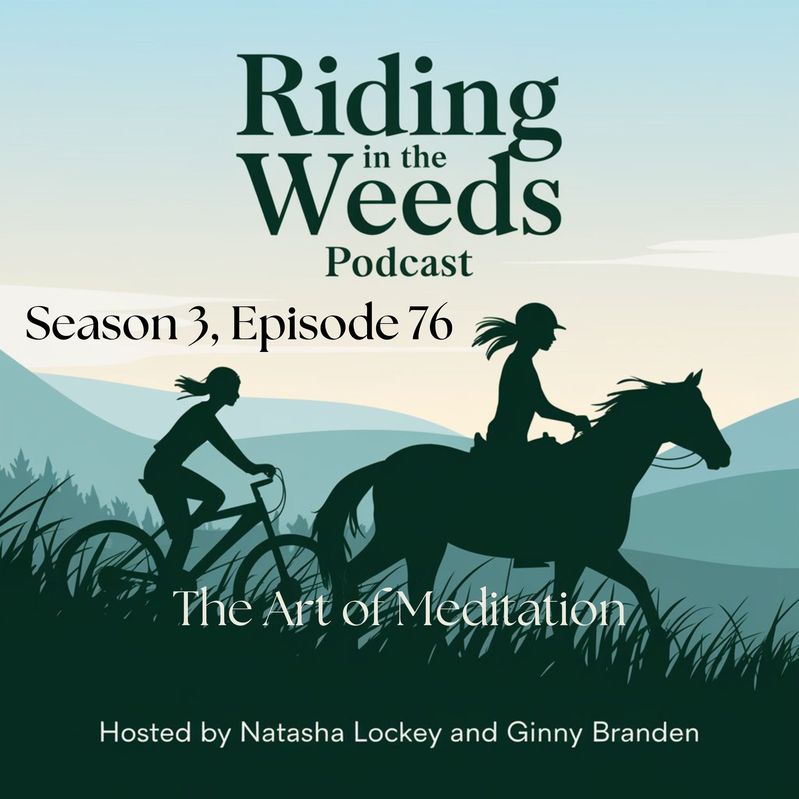 Episode 76: The Art of Meditation