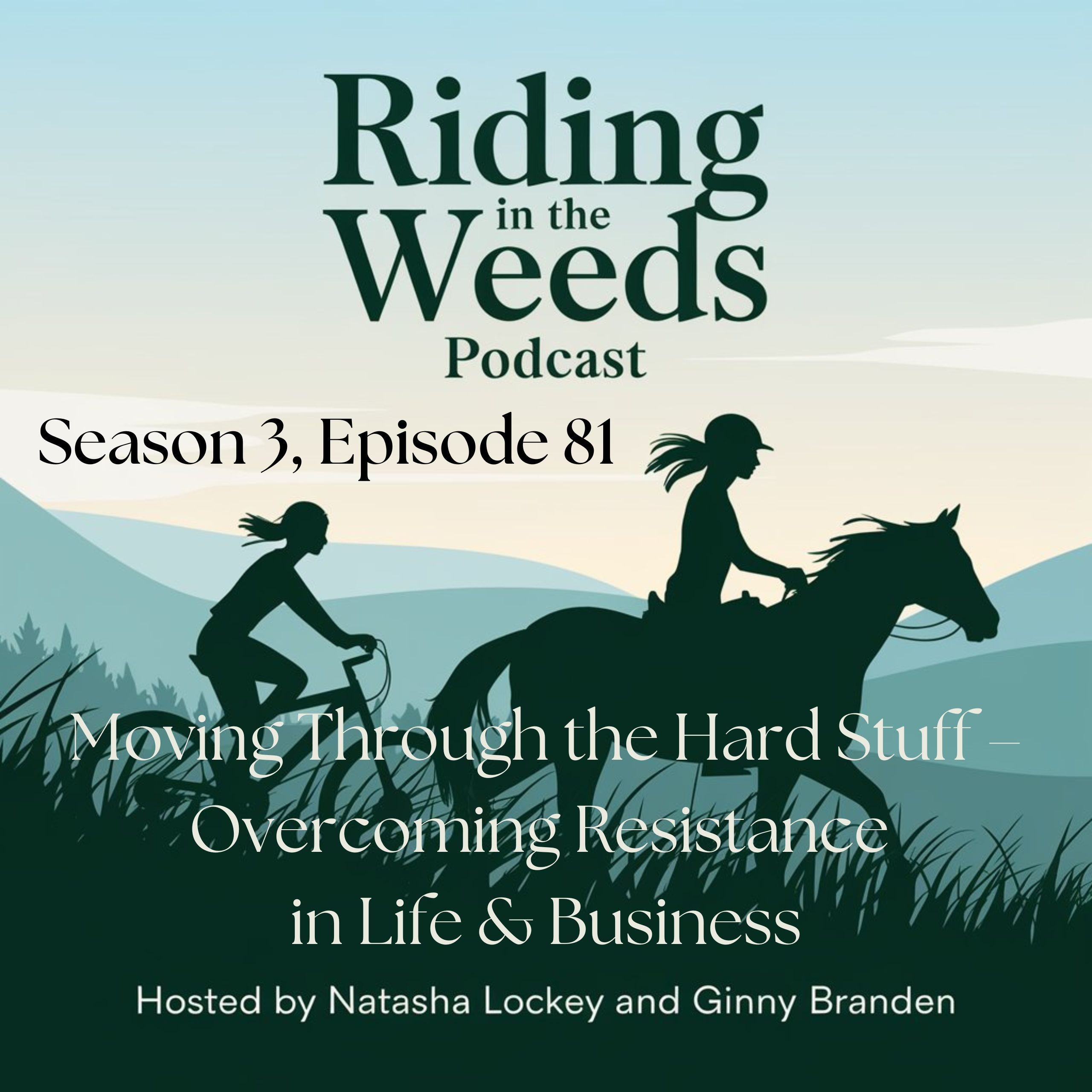 Episode 81 - Moving Through the Hard Stuff – Overcoming Resistance in Life & Business