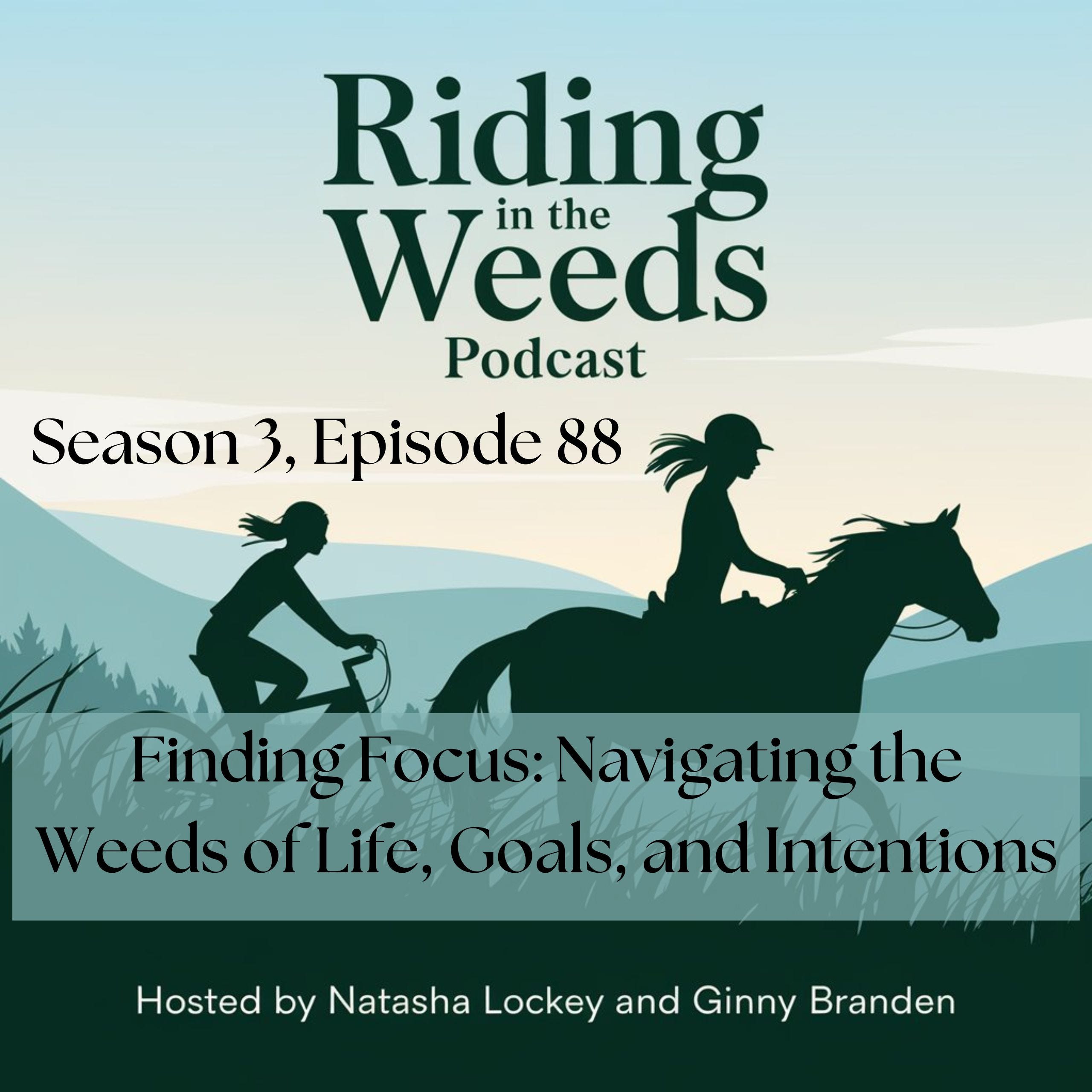 Episode 88: Finding Focus: Navigating the Weeds of Life, Goals, and Intentions