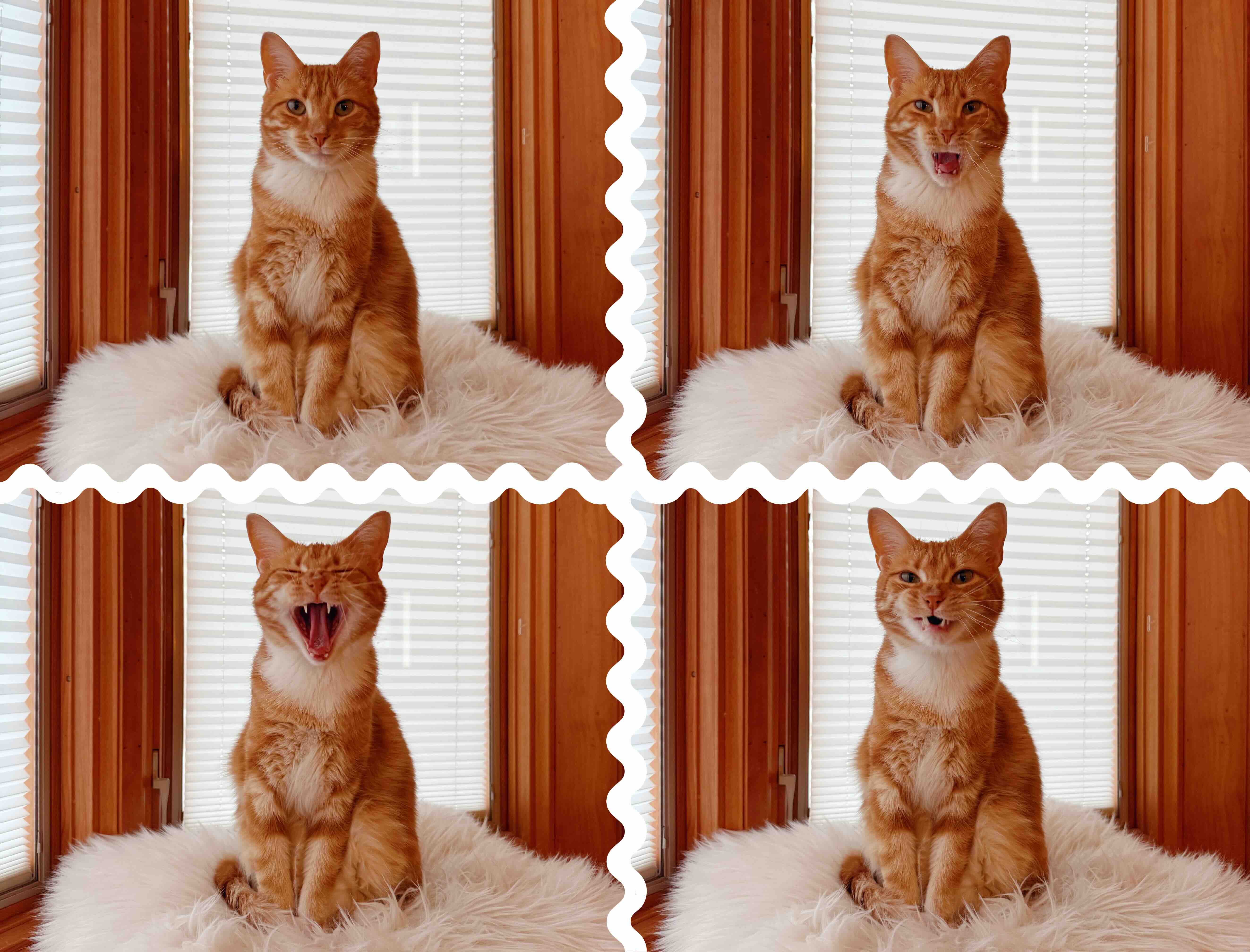 #43 – A Little Pep Talk About Rest