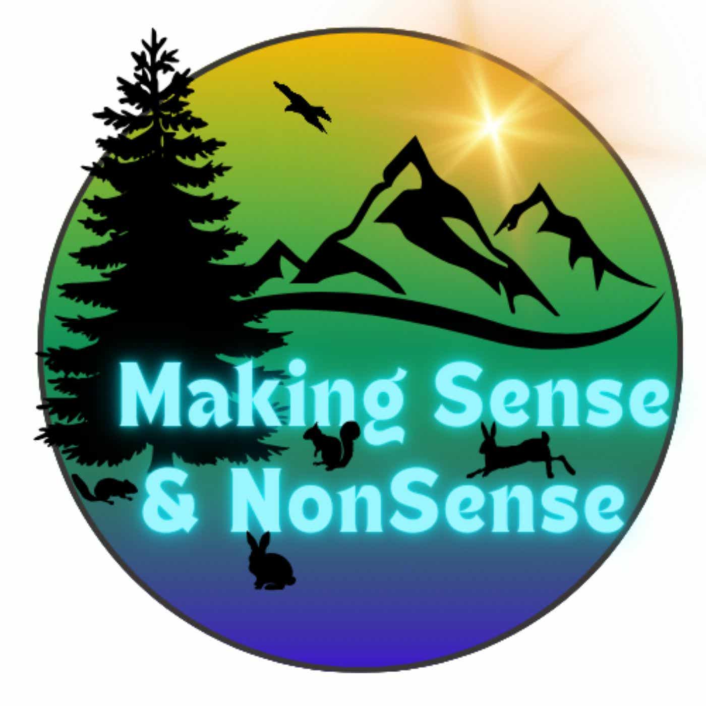 Making Sense and Nonsense
