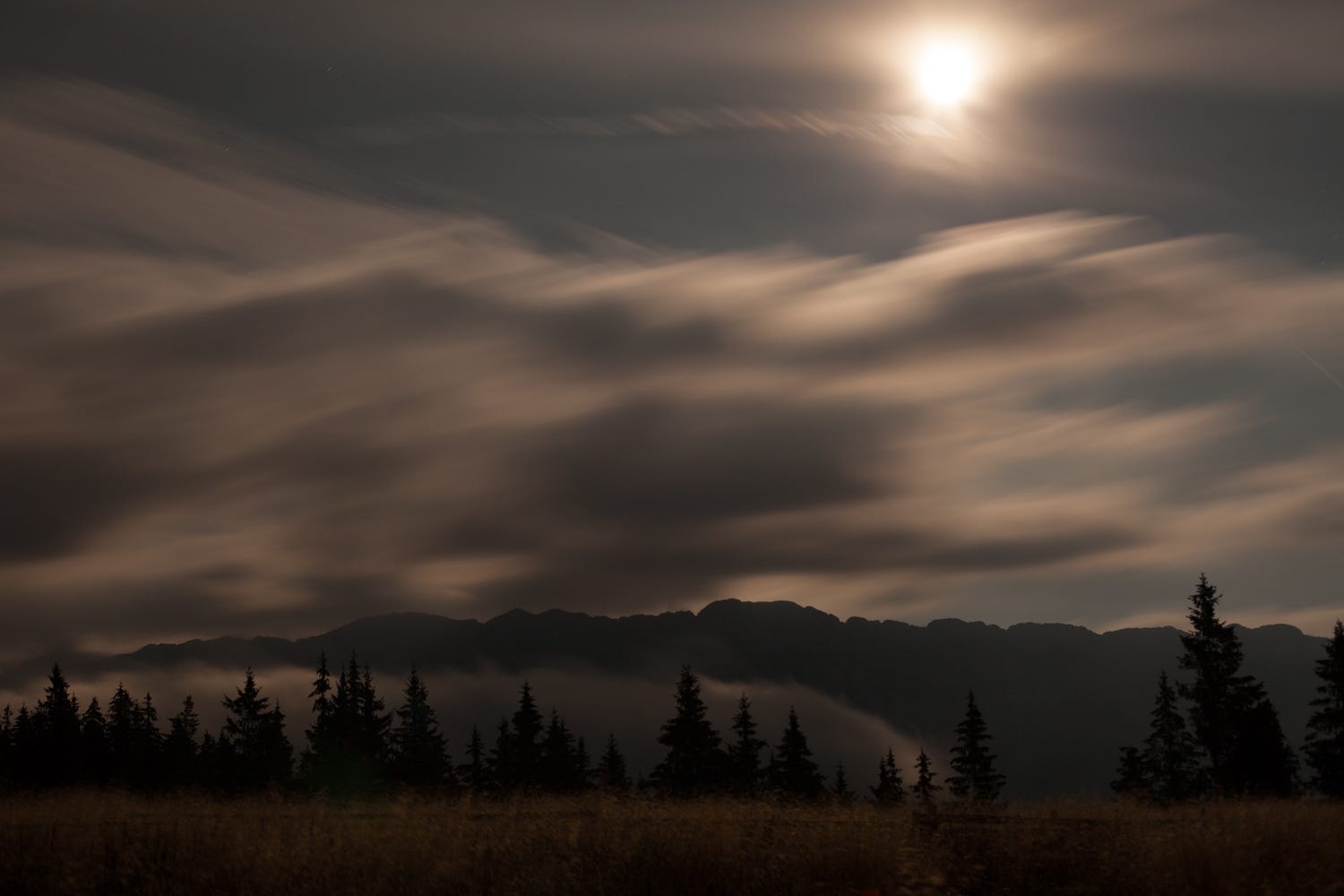 Uncivil Savant Podcast