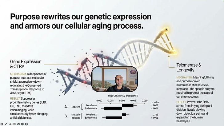 Why You Need Purpose to Survive? 