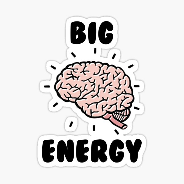 the unremarkable brain