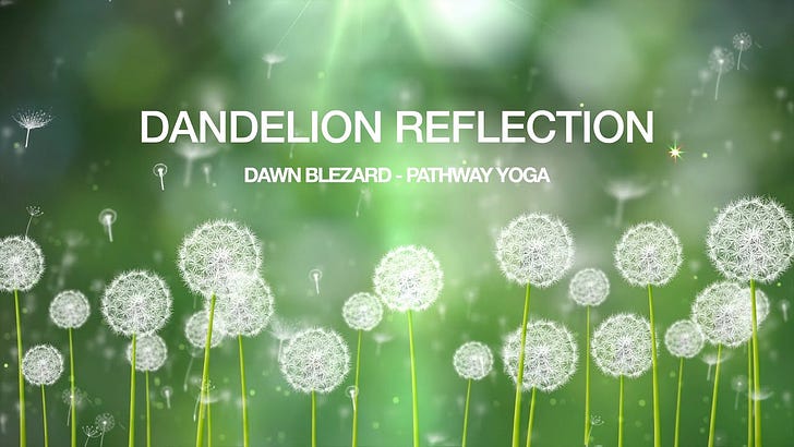 Dandelion Reflection & Morning Meditation episode artwork