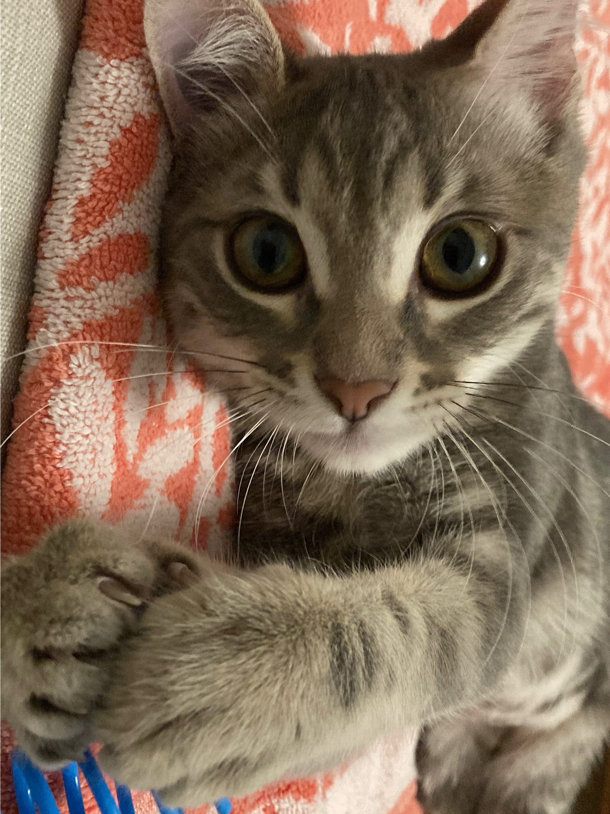 A Couple Thinks Podcast