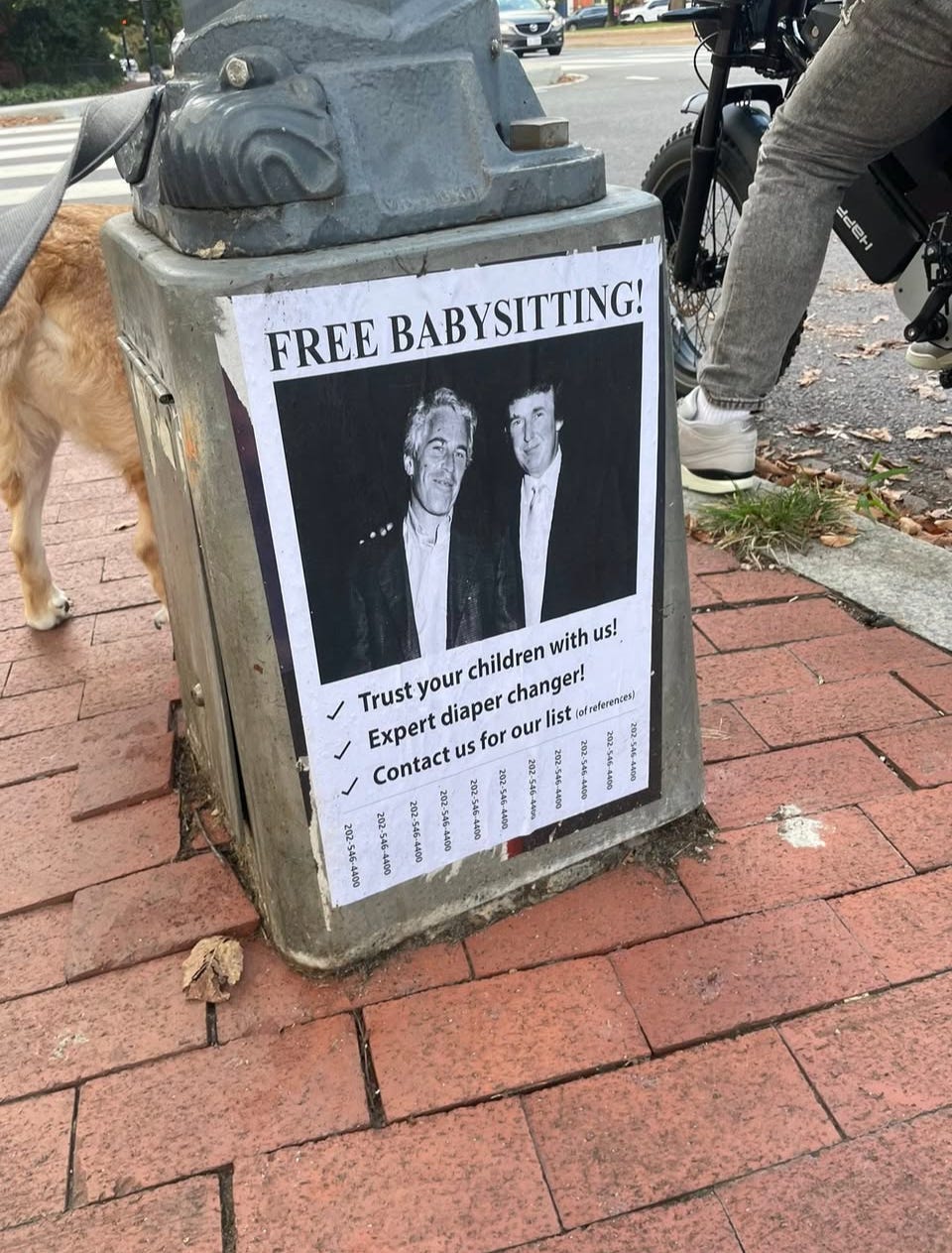TRUMP SUPREME LEADER BEST ANKLES RESCUES PORTLAND NOT FAT GOLFER NUMBER ONE episode artwork