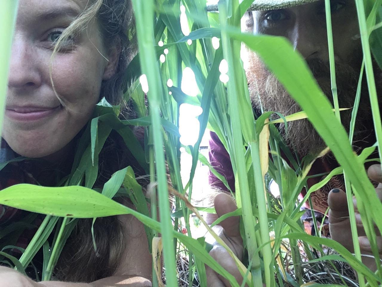 Bridging the Social Distance