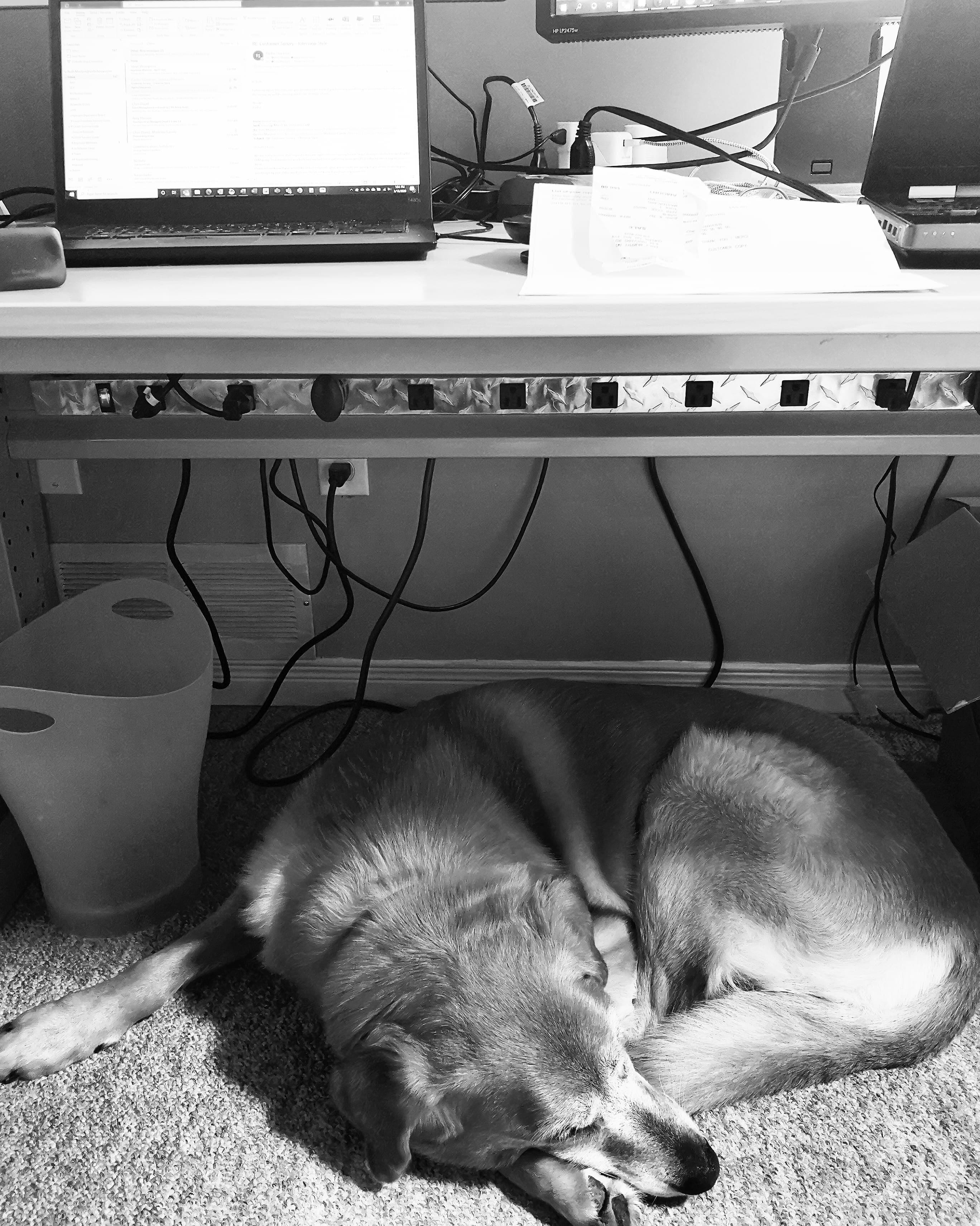 Ep 4 Ruth Morton (Guelph ON)