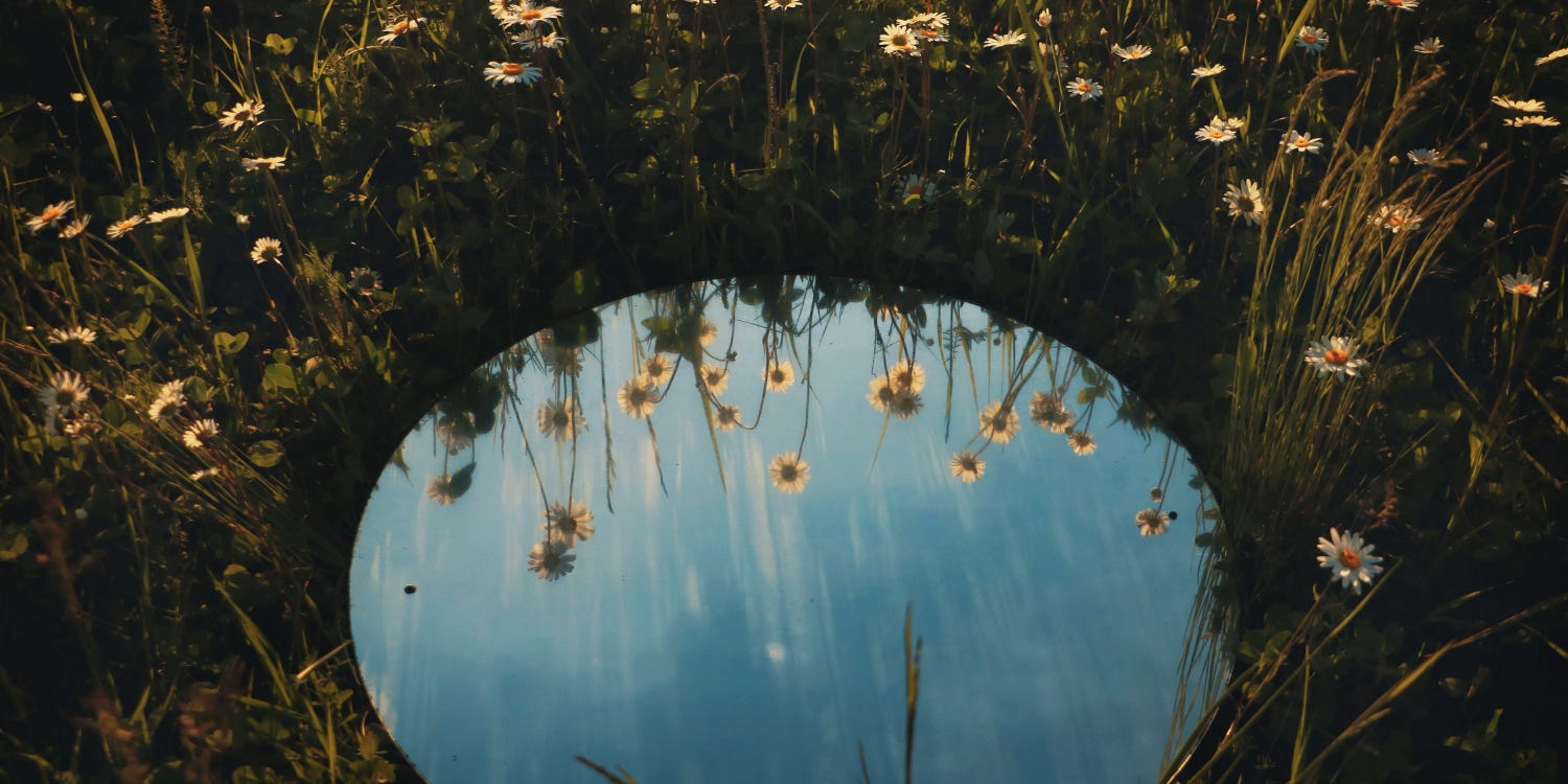 Reflections. episode artwork