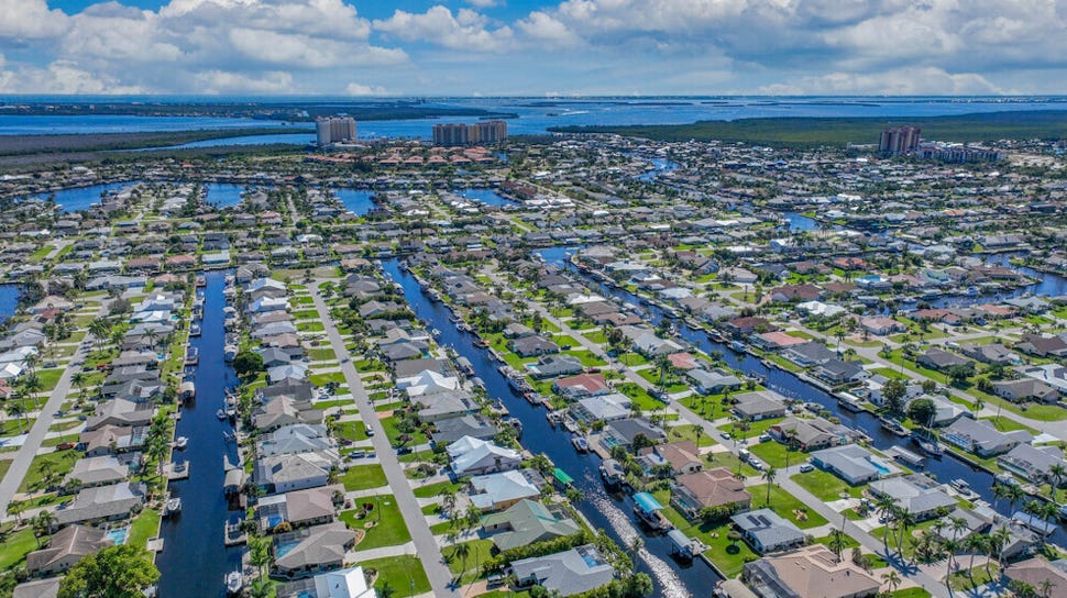 Florida Man vs. The World