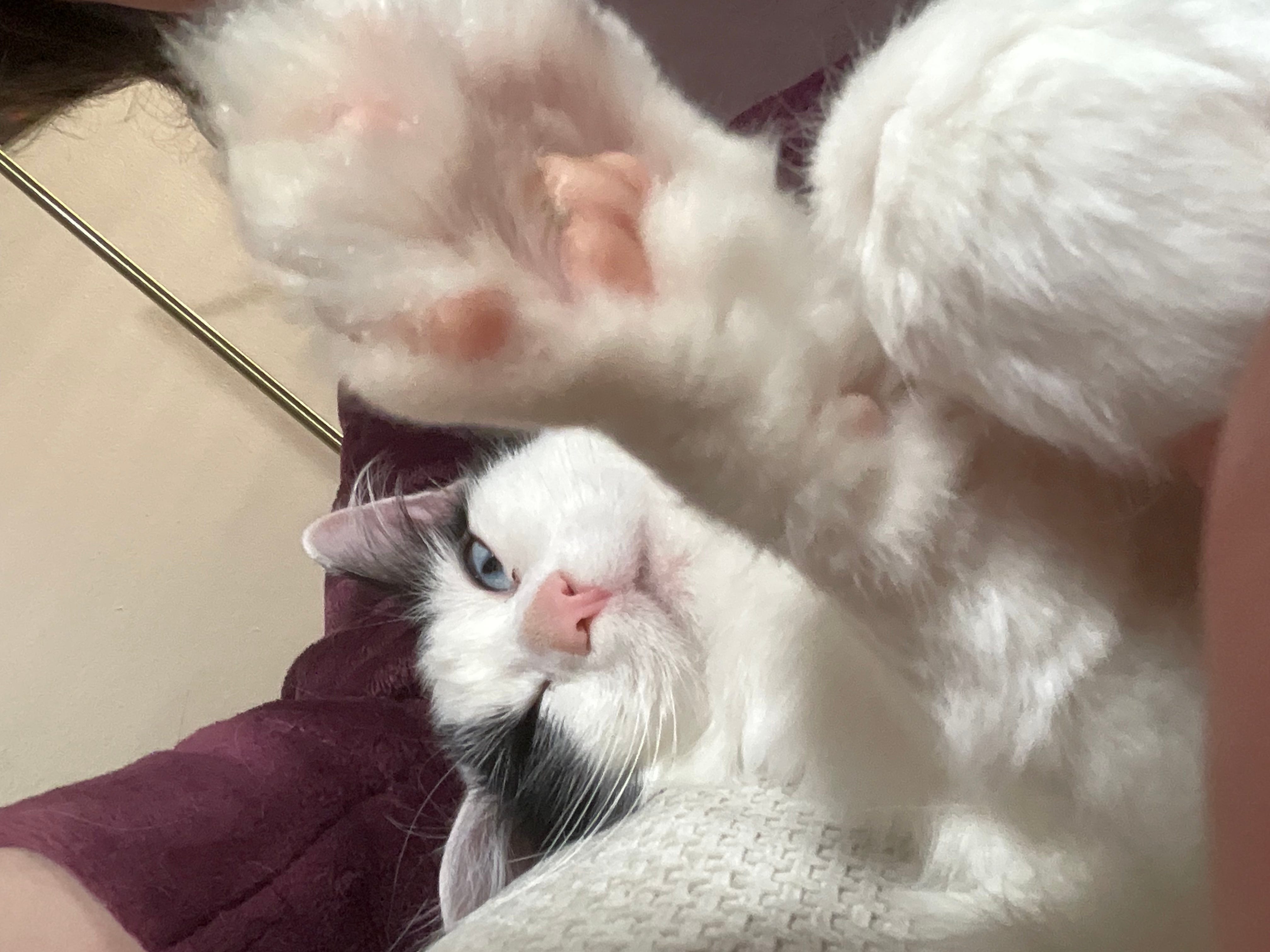 Episode 191: Iran So Far Away