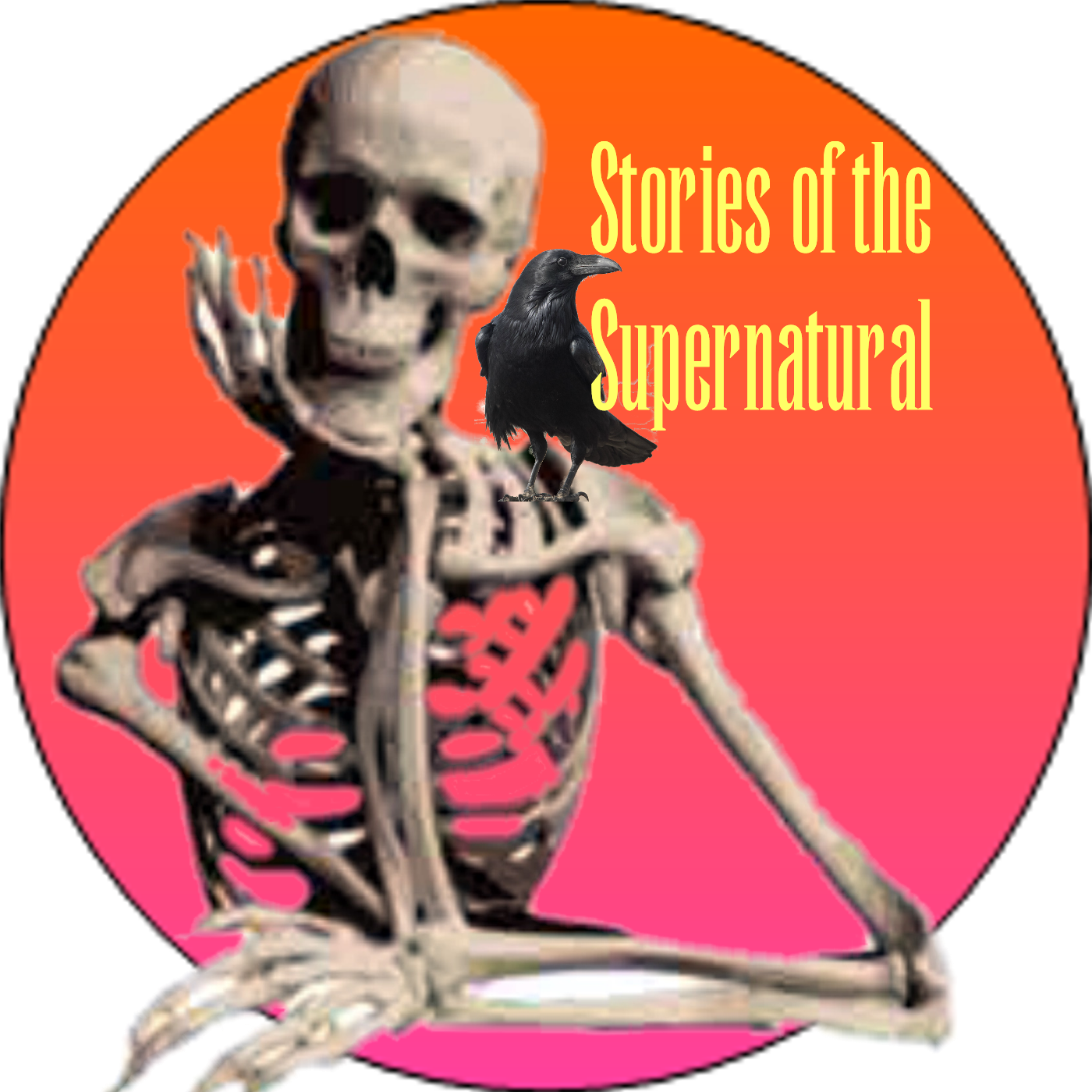 Primeval Puzzles | Interview with Brien Foerster | Stories of the Supernatural episode artwork