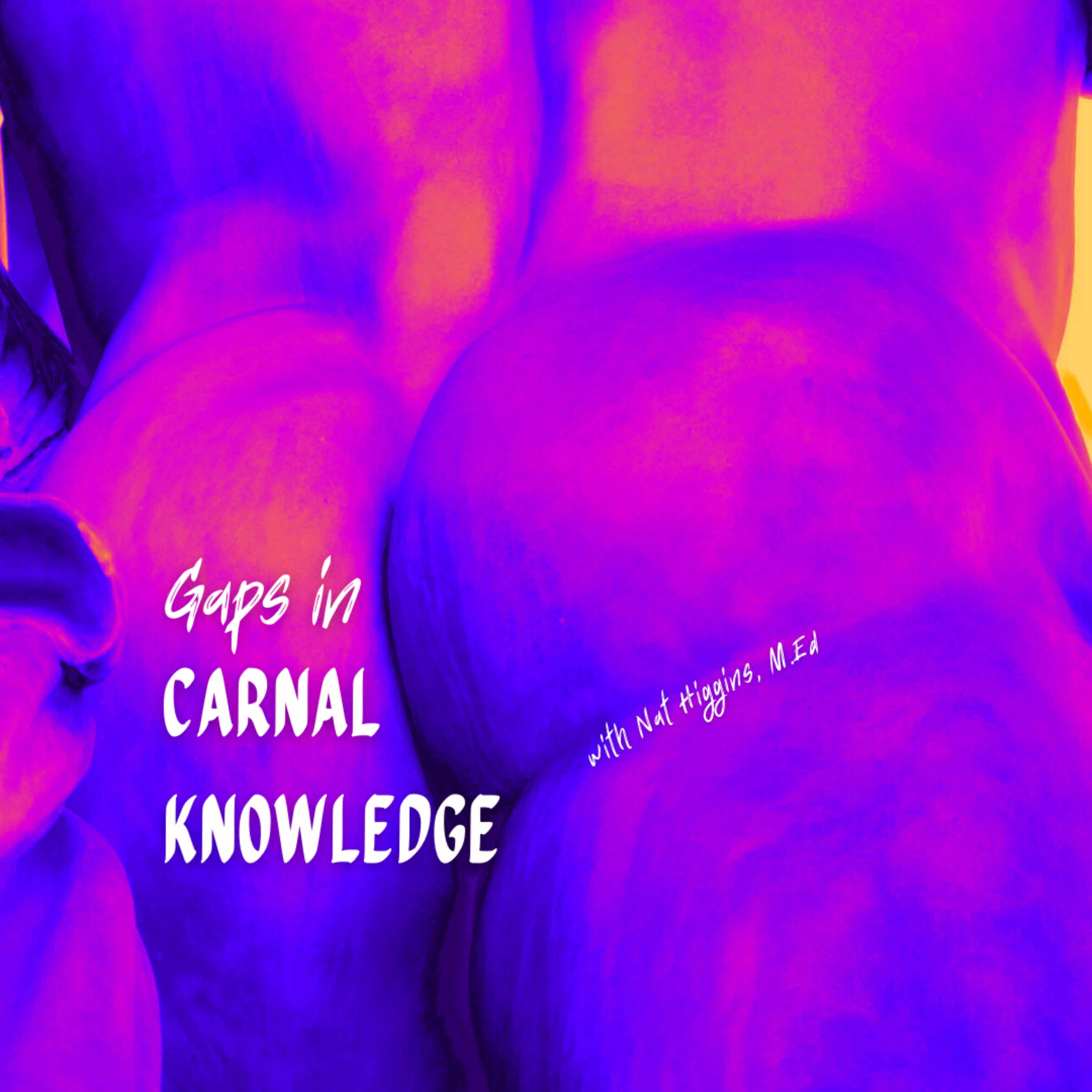 Gaps in Carnal Knowledge Artwork