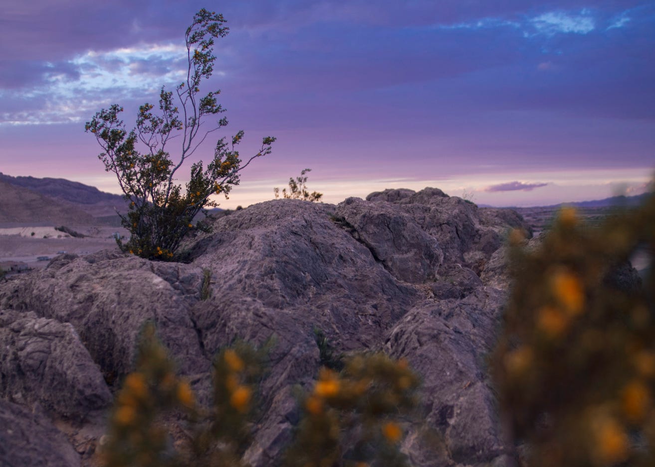Audio: When the Days Feel Like Deserts  episode artwork