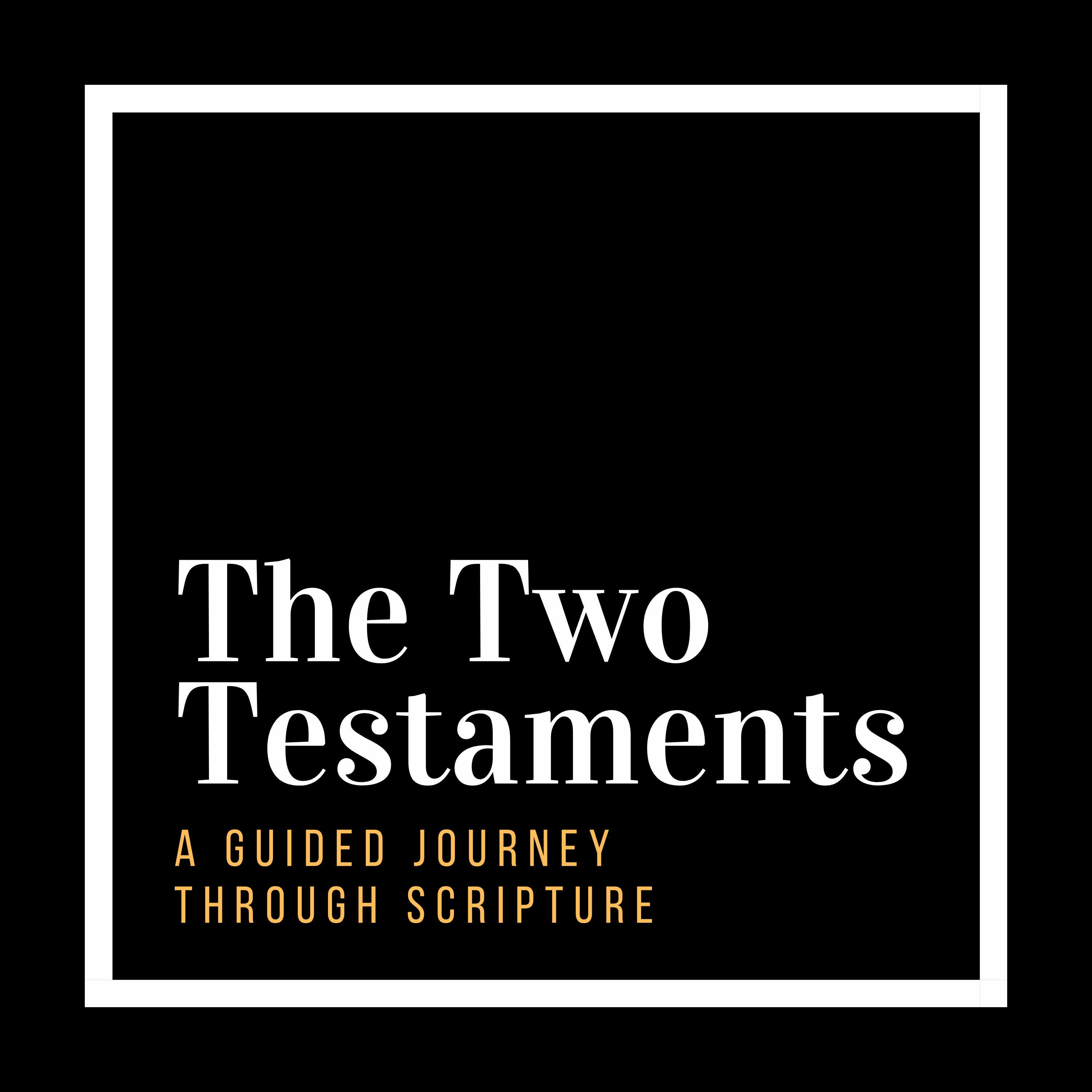 The Two Testaments Podcast artwork