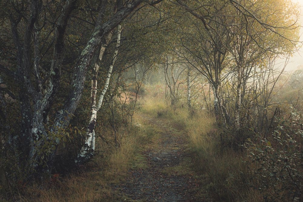 Photographer Brad Carr talks to Dennis Richards