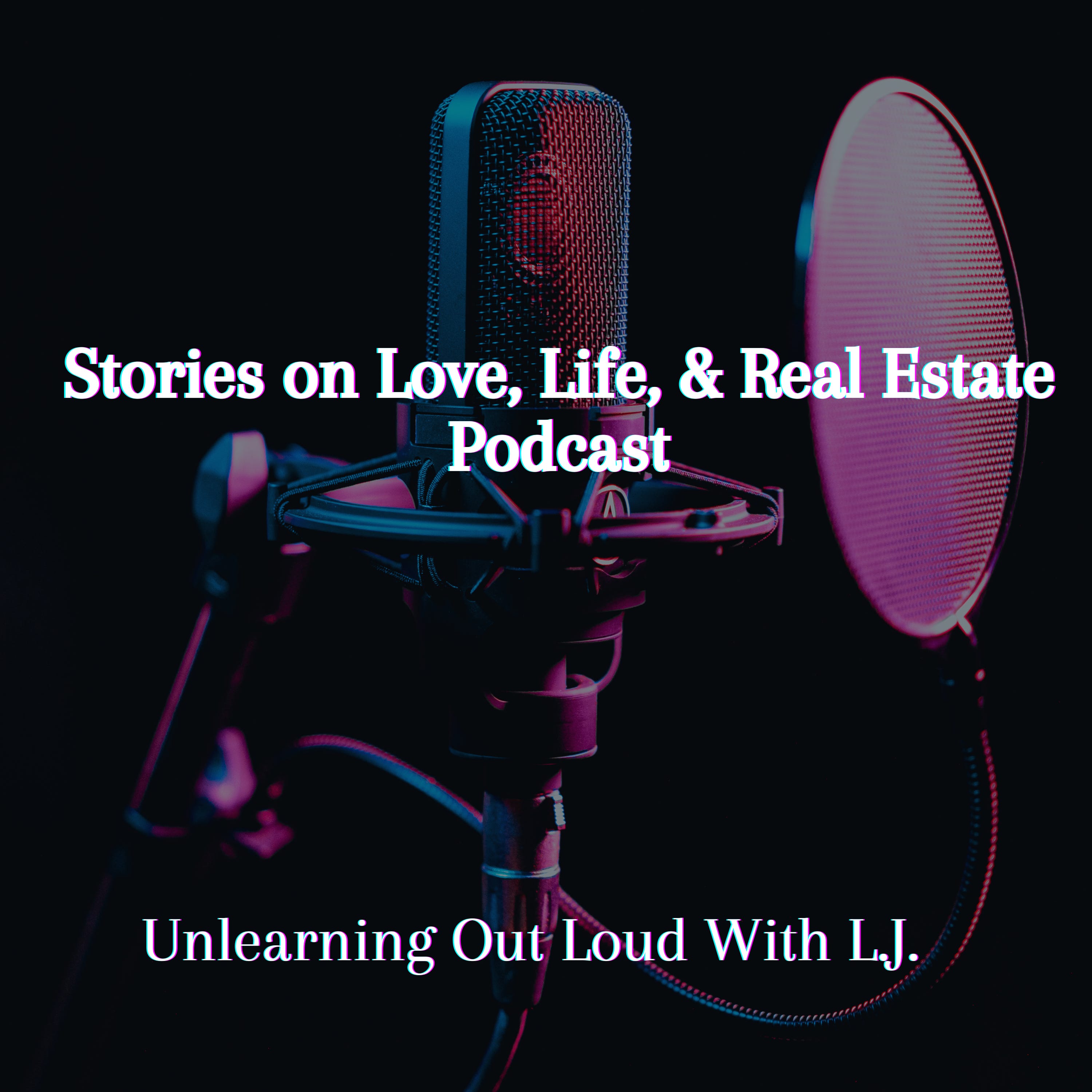 What the For Sale By Owner Hid episode artwork