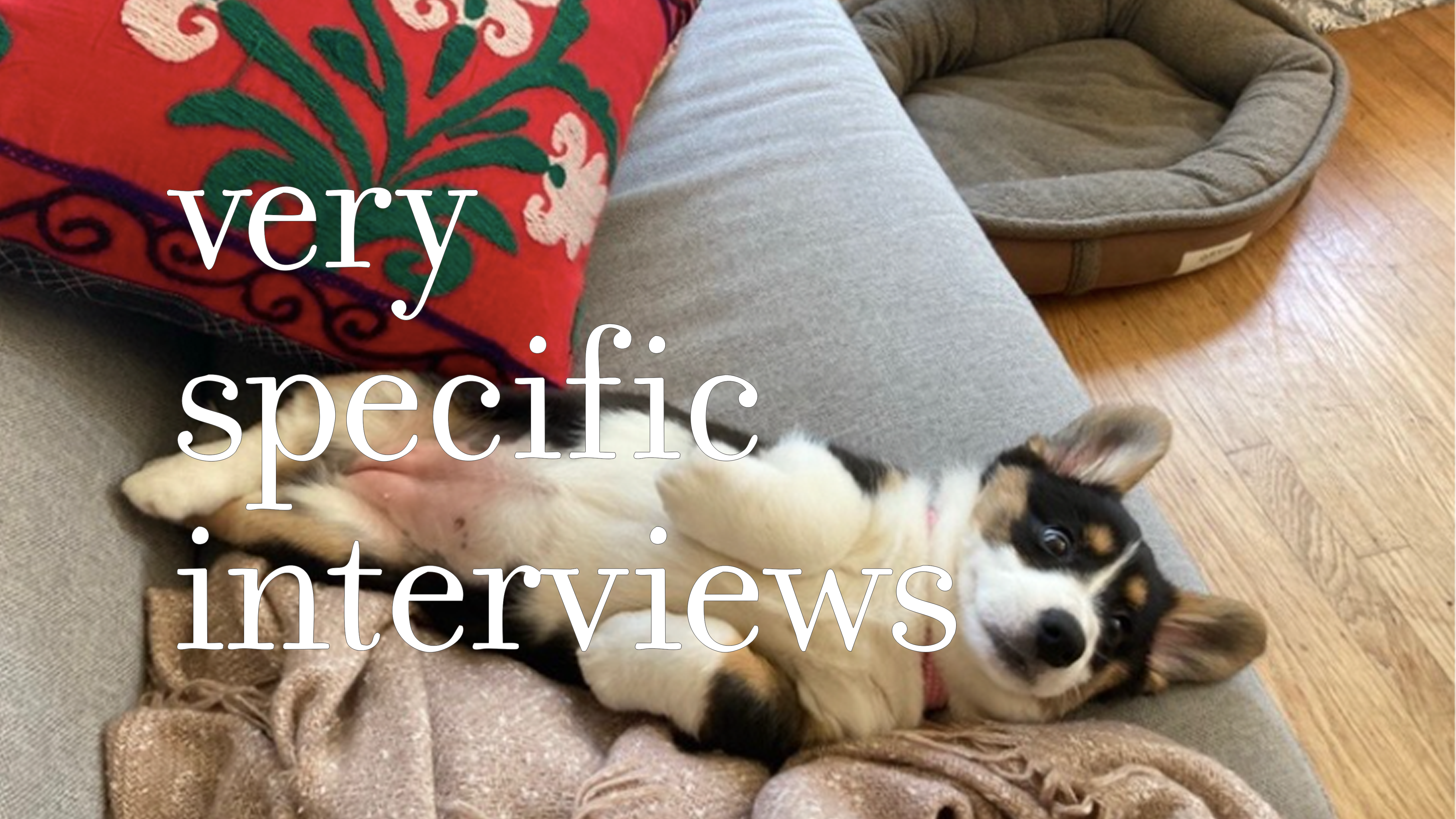 Very Specific Interviews
