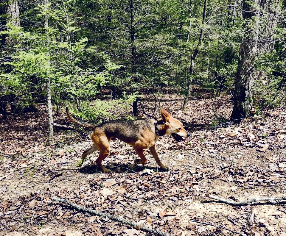 Etiquette for Dangerous Women Podcast