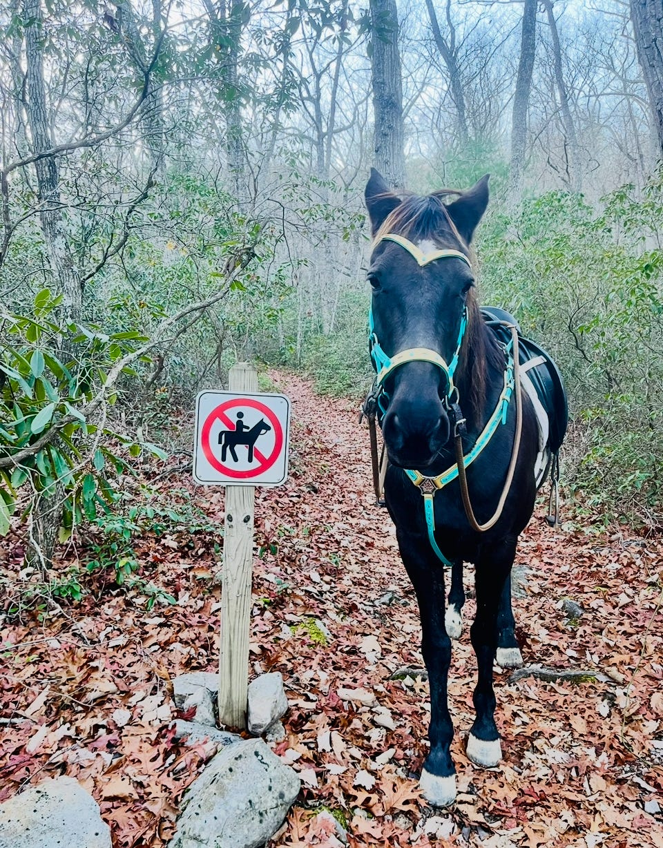 Etiquette for Dangerous Women Podcast