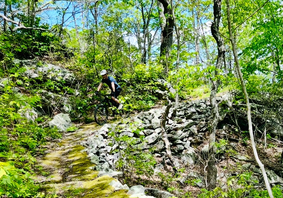 Etiquette for Dangerous Women Podcast