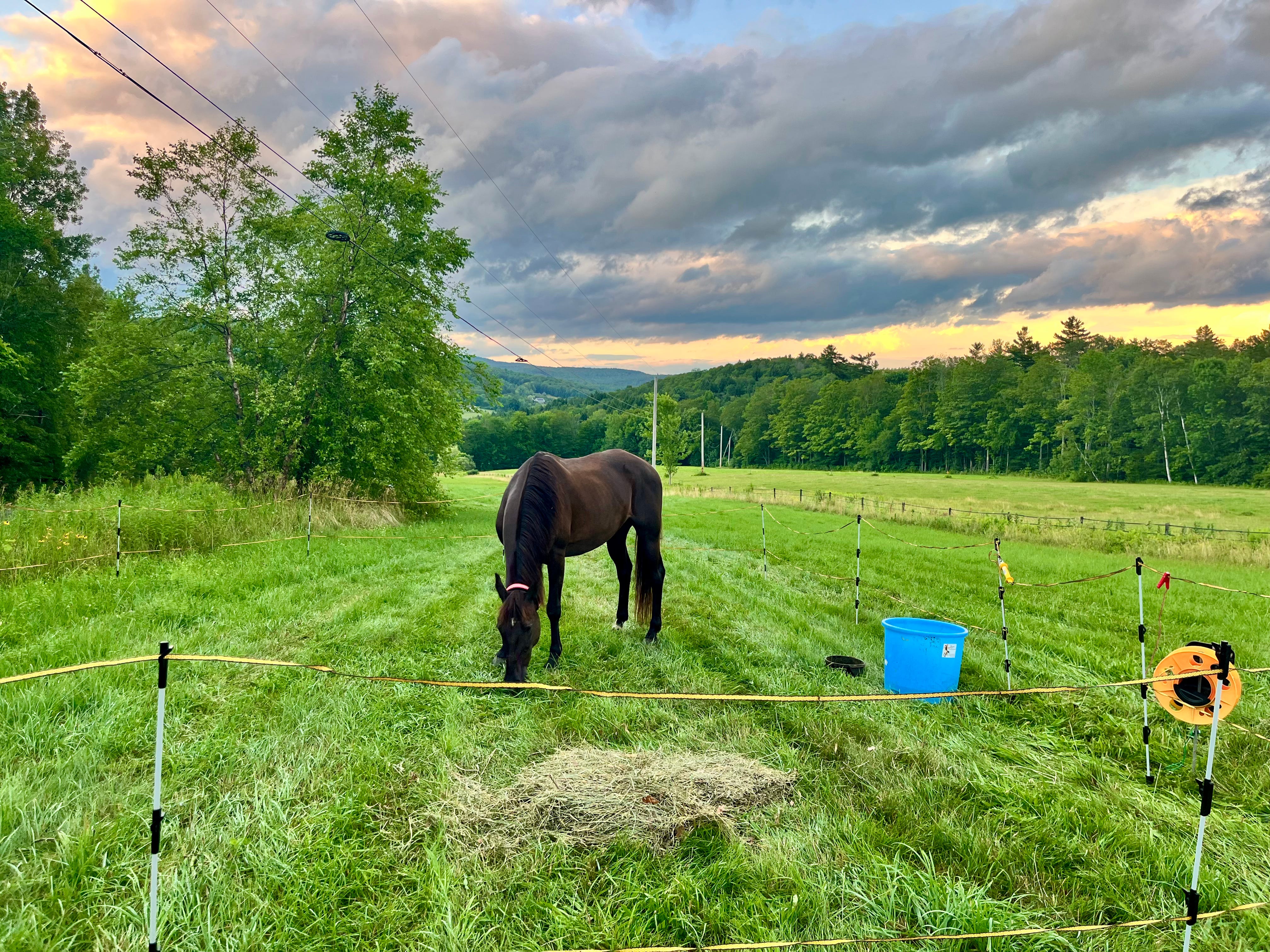 Etiquette for Dangerous Women Podcast