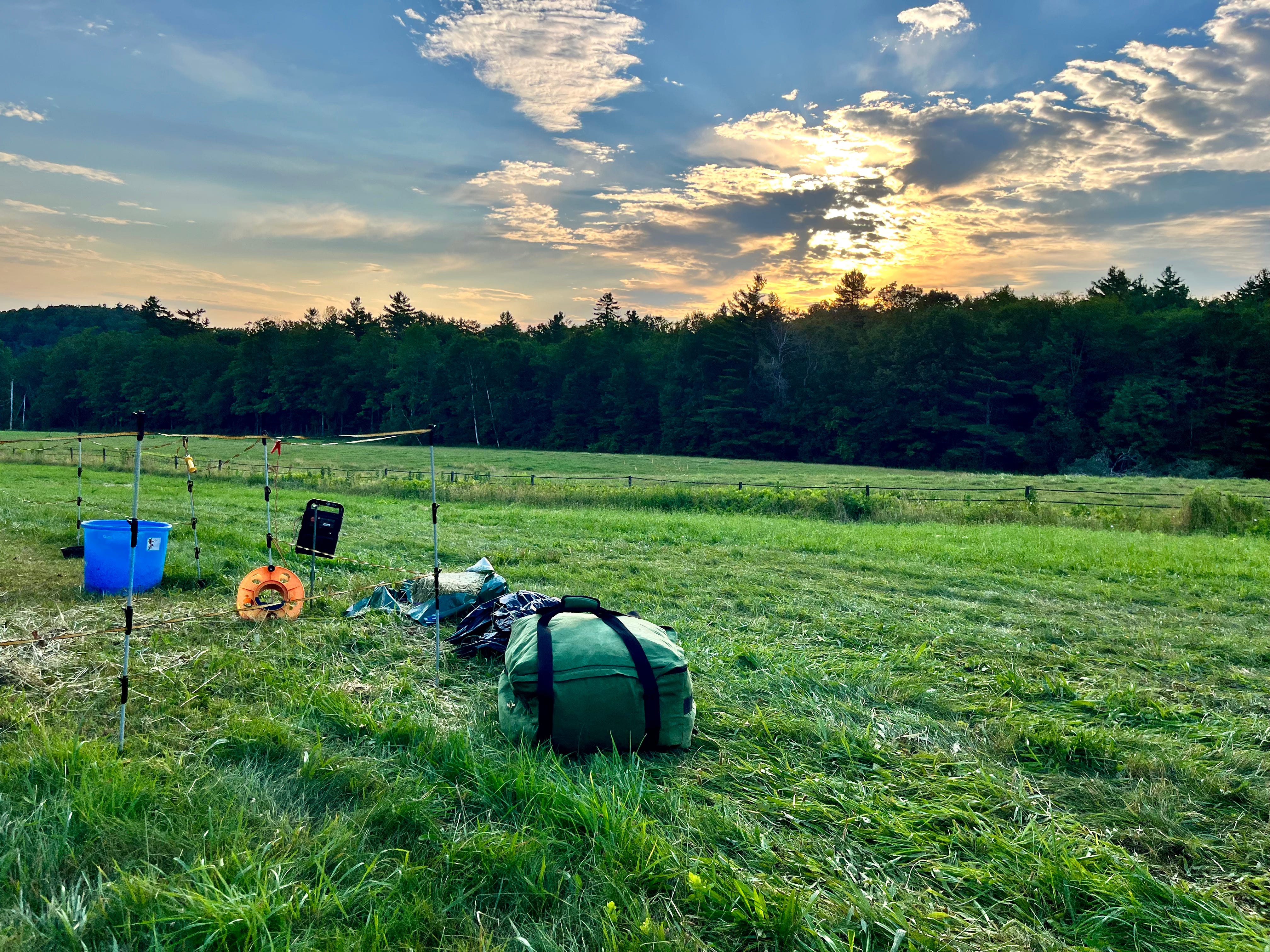 Etiquette for Dangerous Women Podcast