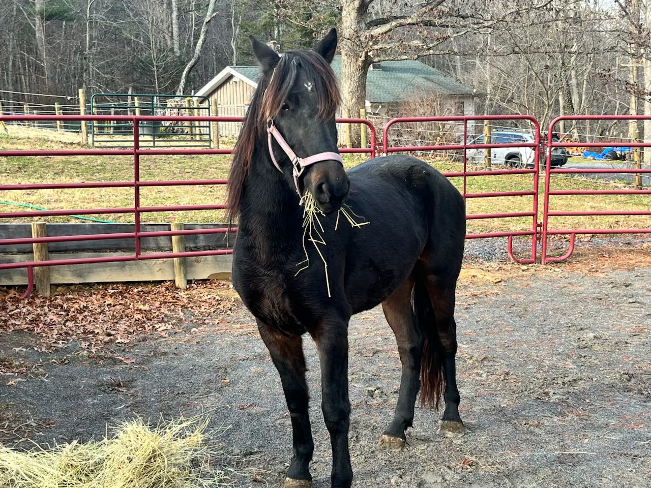 Etiquette for Dangerous Women Podcast