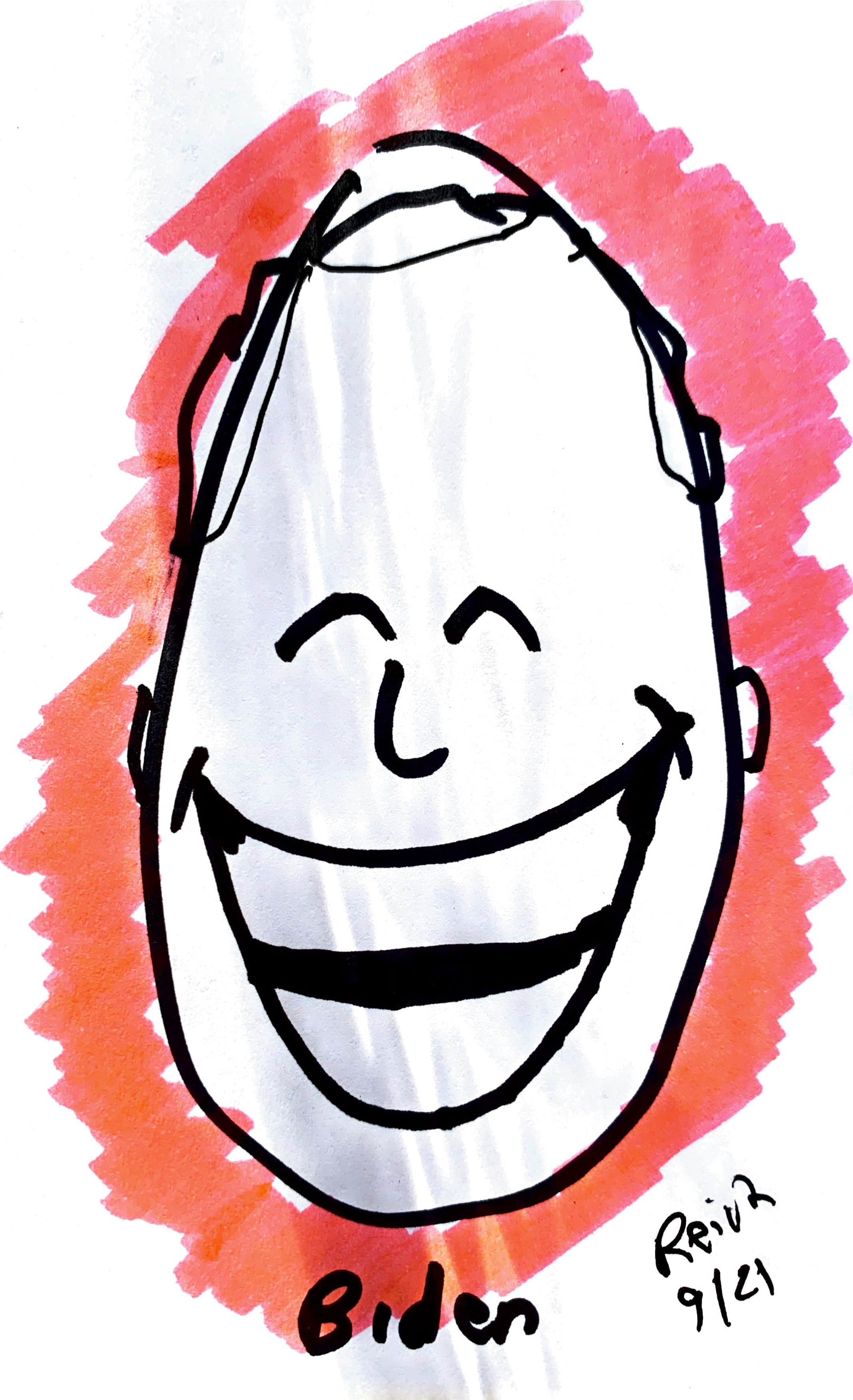 Can't believe it? How Biden gets re-elected in 2024