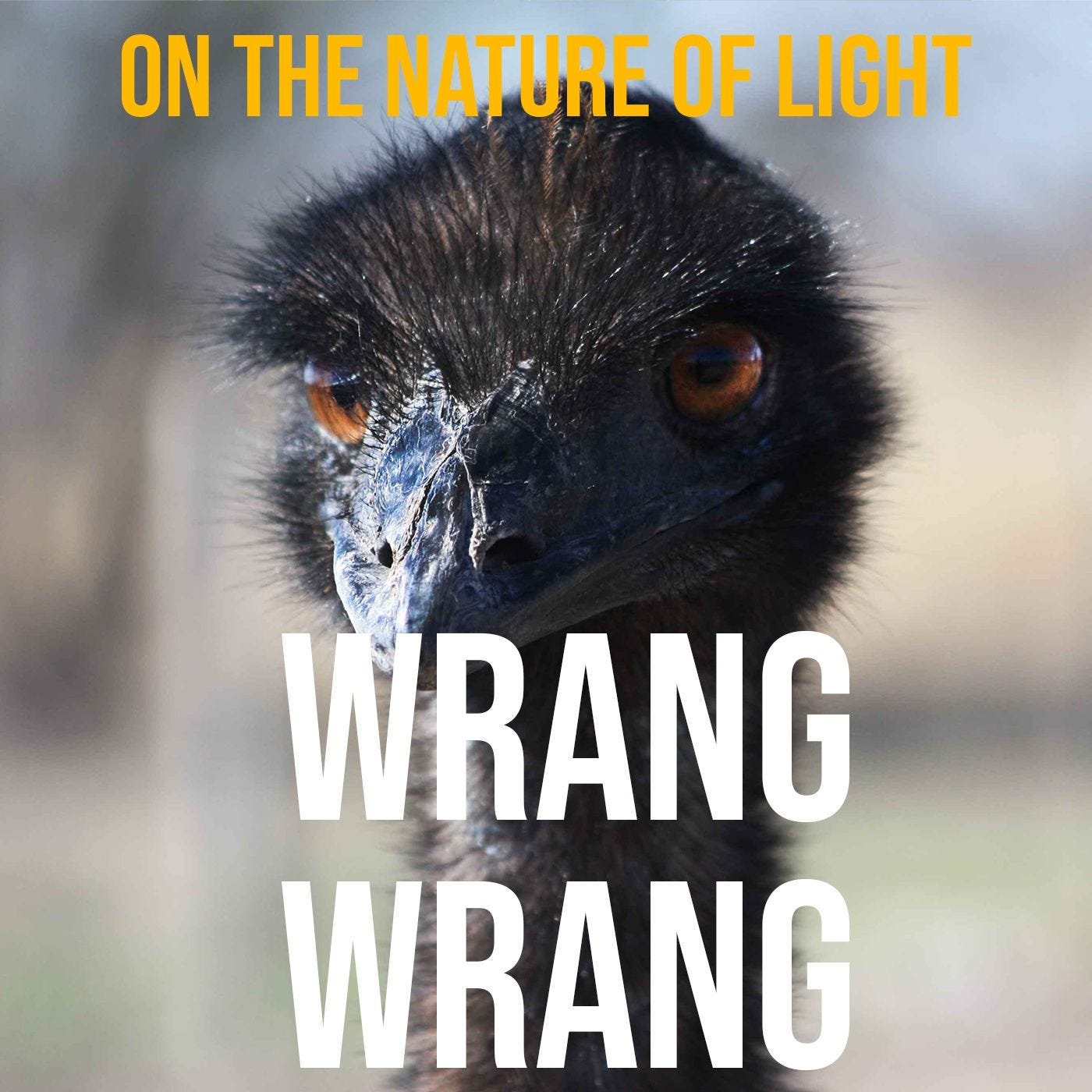 On The Nature Of Light - Un podcast di e sulla fotografia