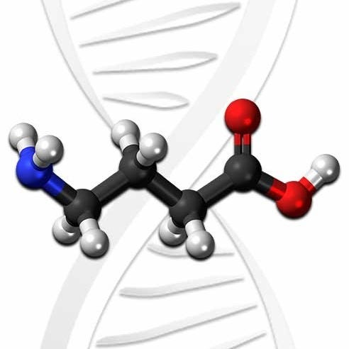 😎 GABA as a Nootropic: Biohacking the Metaphorical "Little Devil" on Your Shoulder 👿 episode artwork
